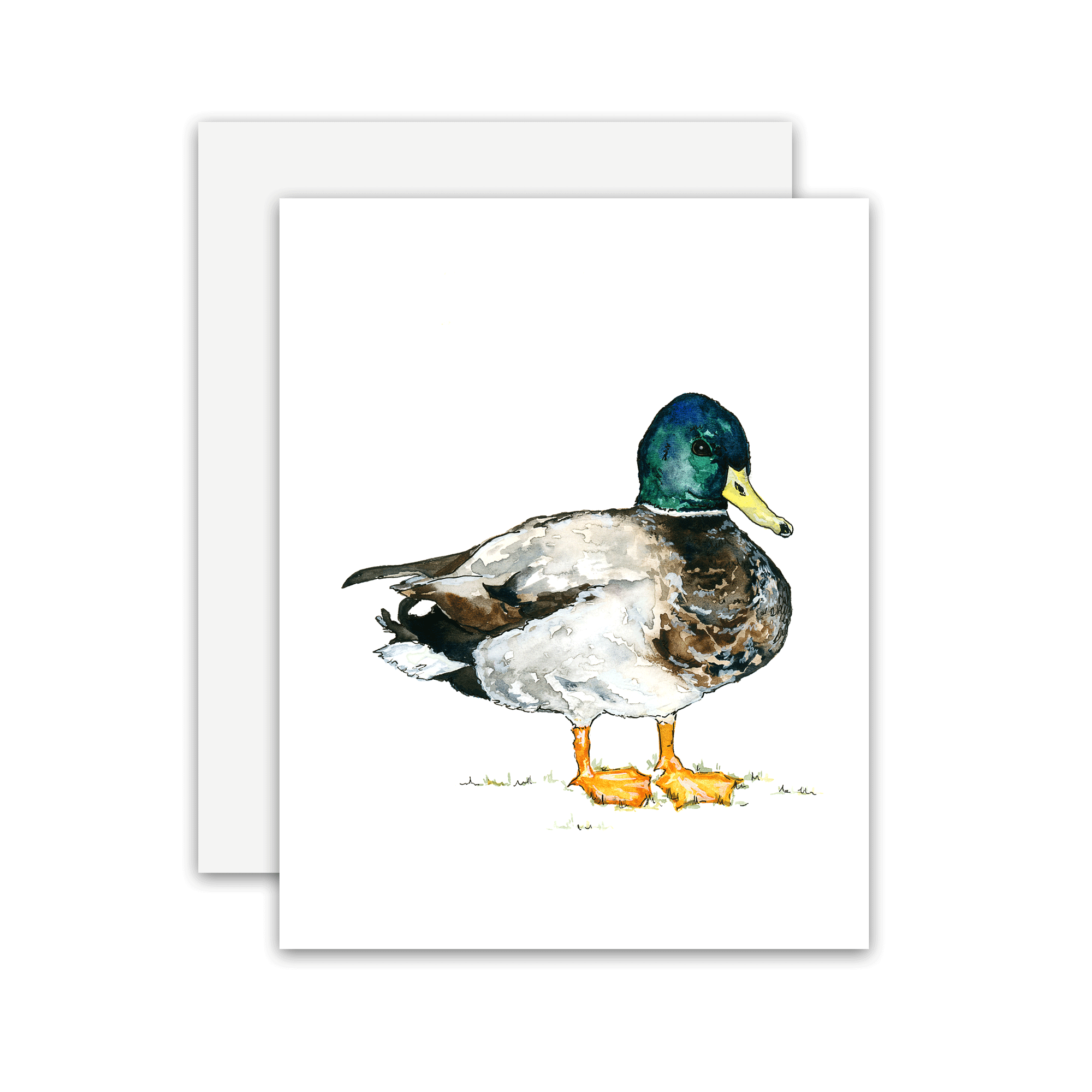 duck-card.gif