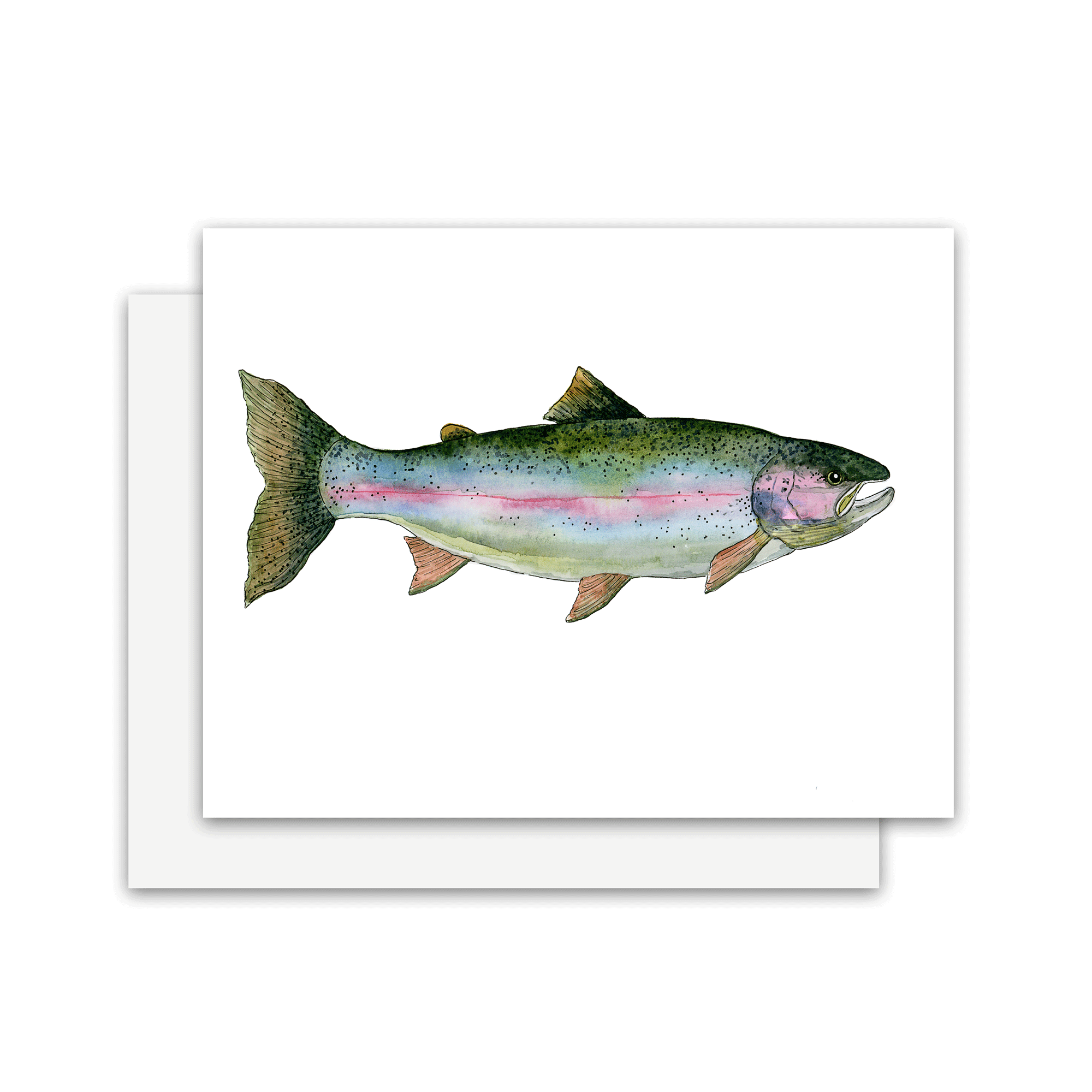 rainbow-trout-card.gif