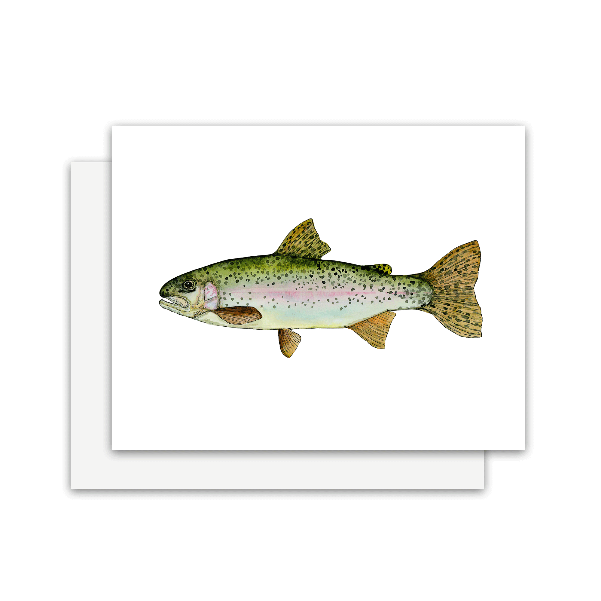 soft-rainbow-trout-card.gif