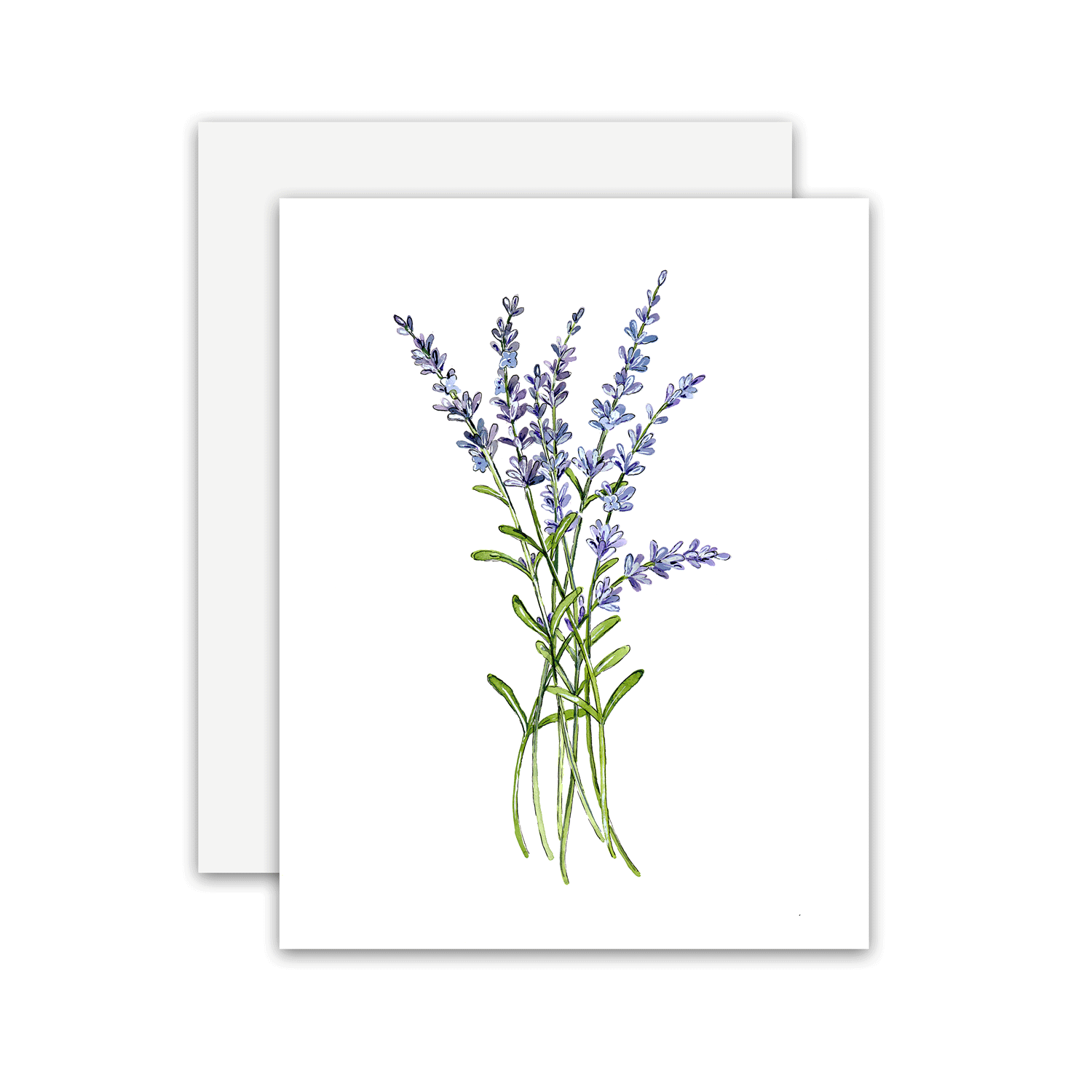 Boise-Lavender-Card.gif