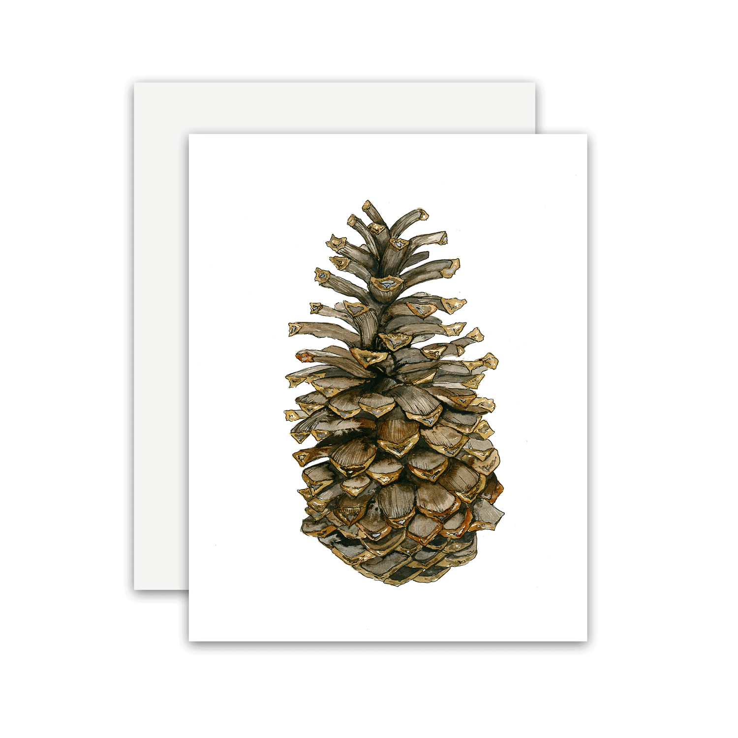 pinecone-card.gif