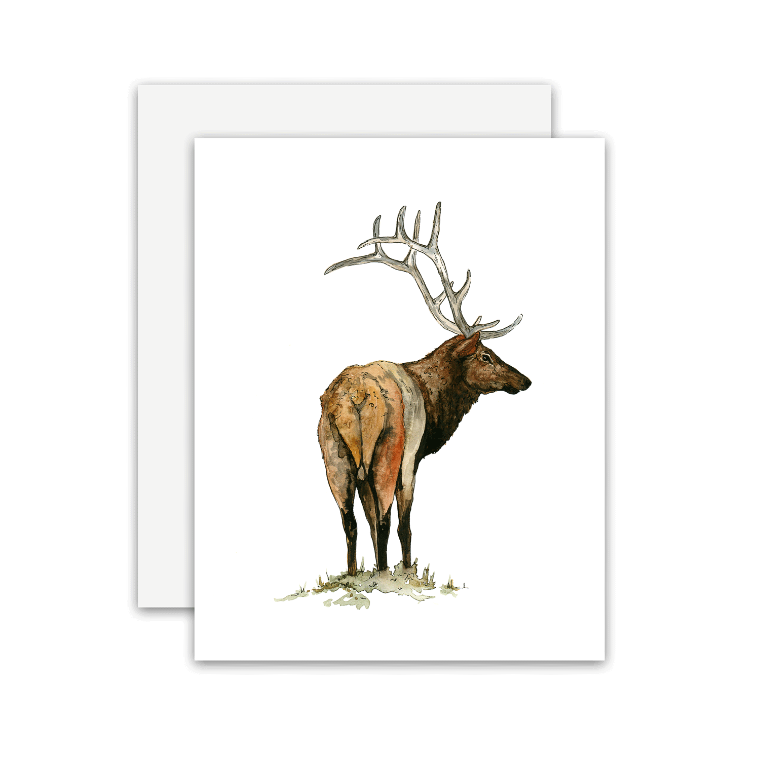 Elk-Card.gif