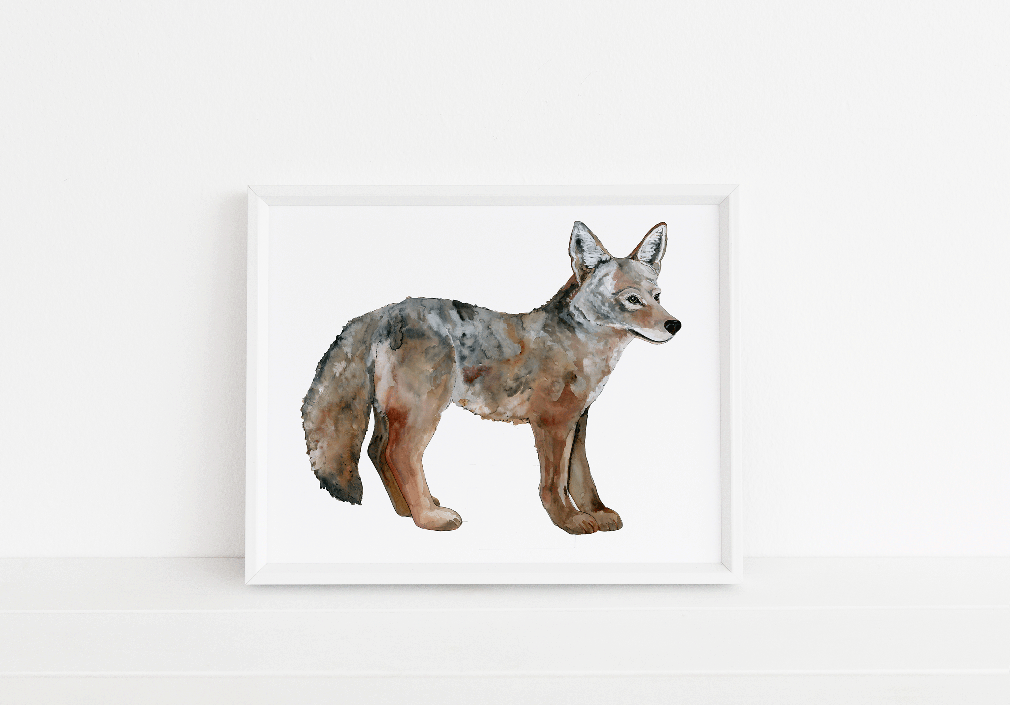 Coyote-Web.gif