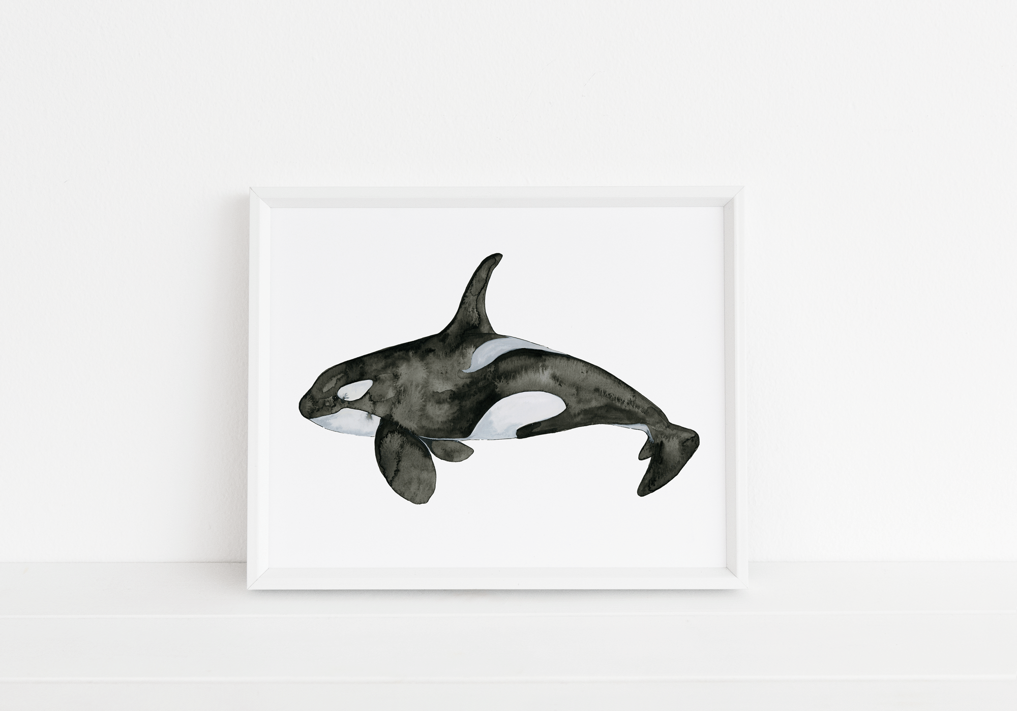 Orca-Web.gif