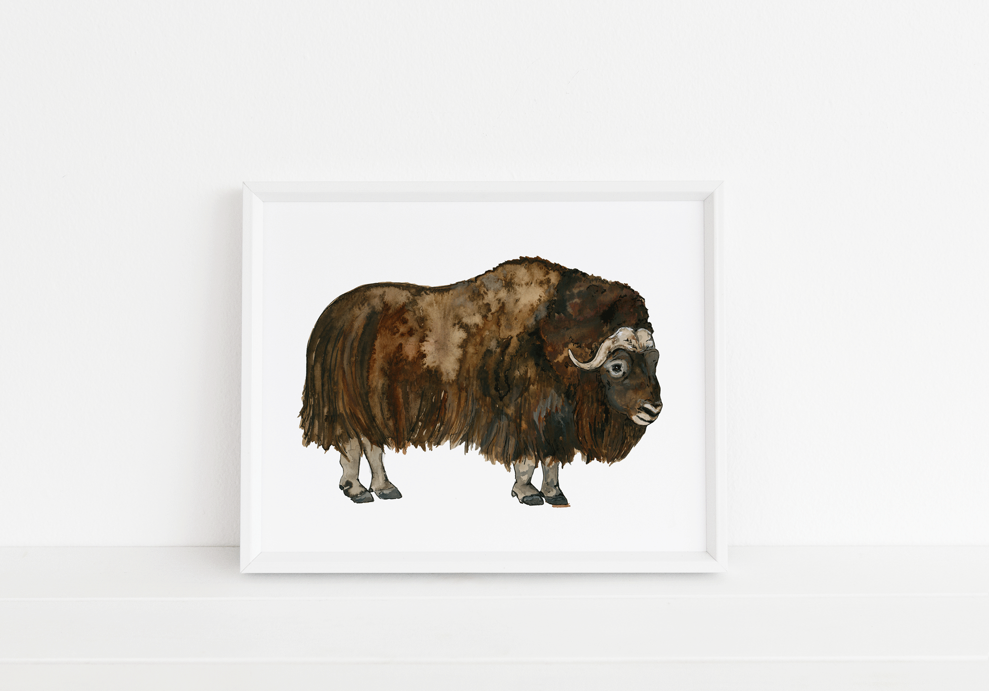 musk-ox-Web.gif