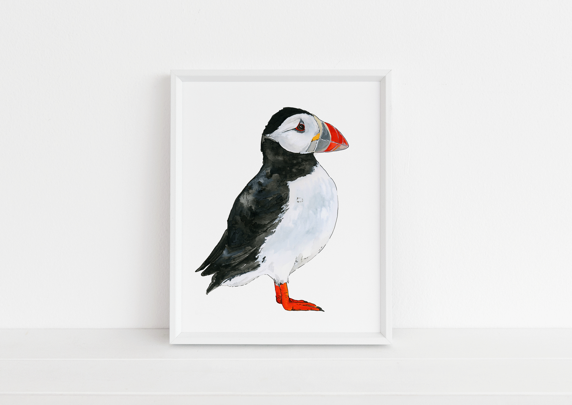 Puffin-Web.gif