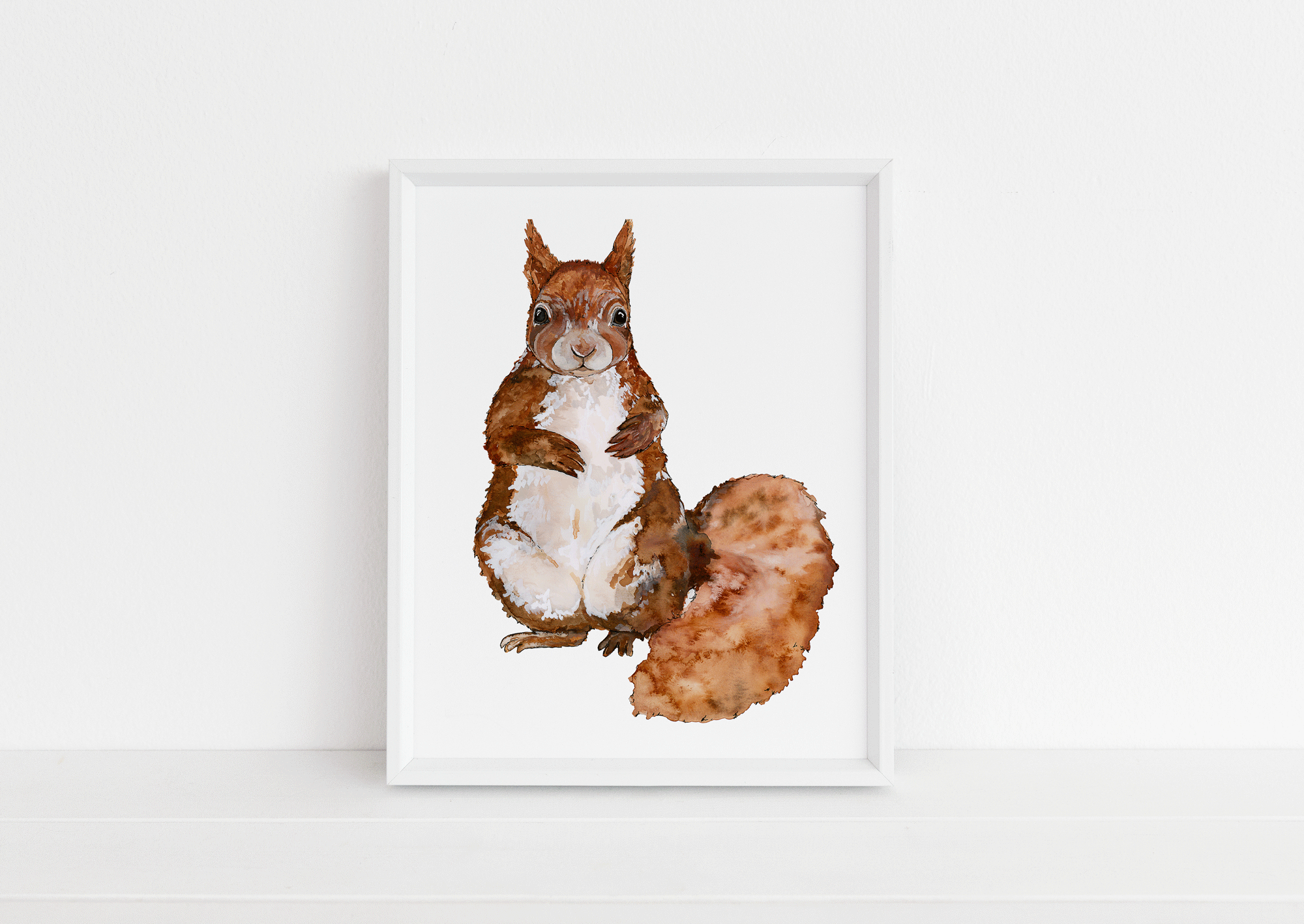 Red-Squirrel-Web.gif