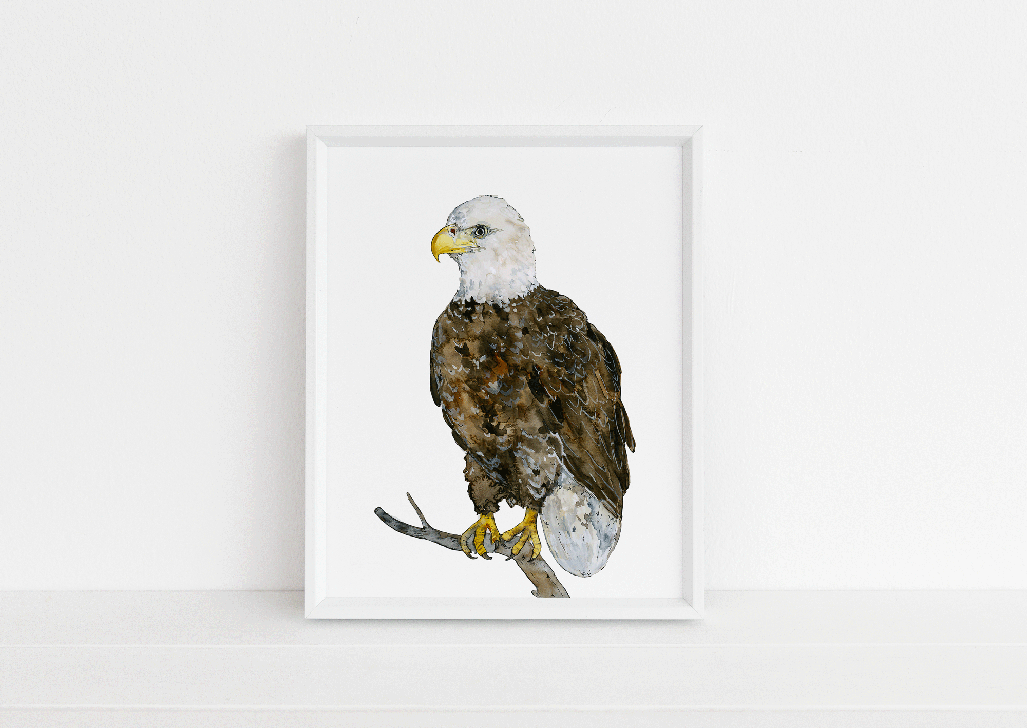Alaskan-Eagle-Web.gif