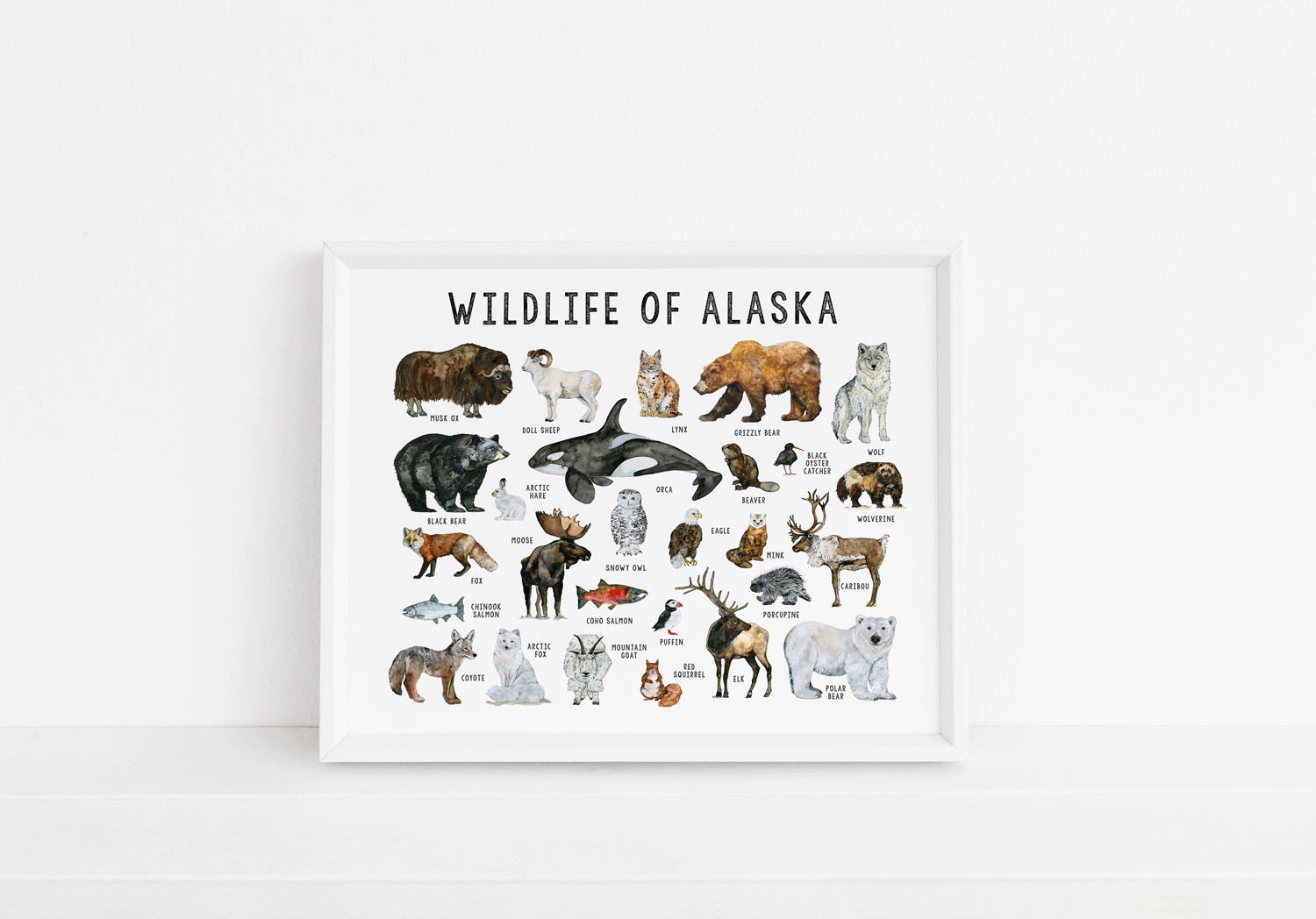 Wildlife-of-Alaska-Web.gif
