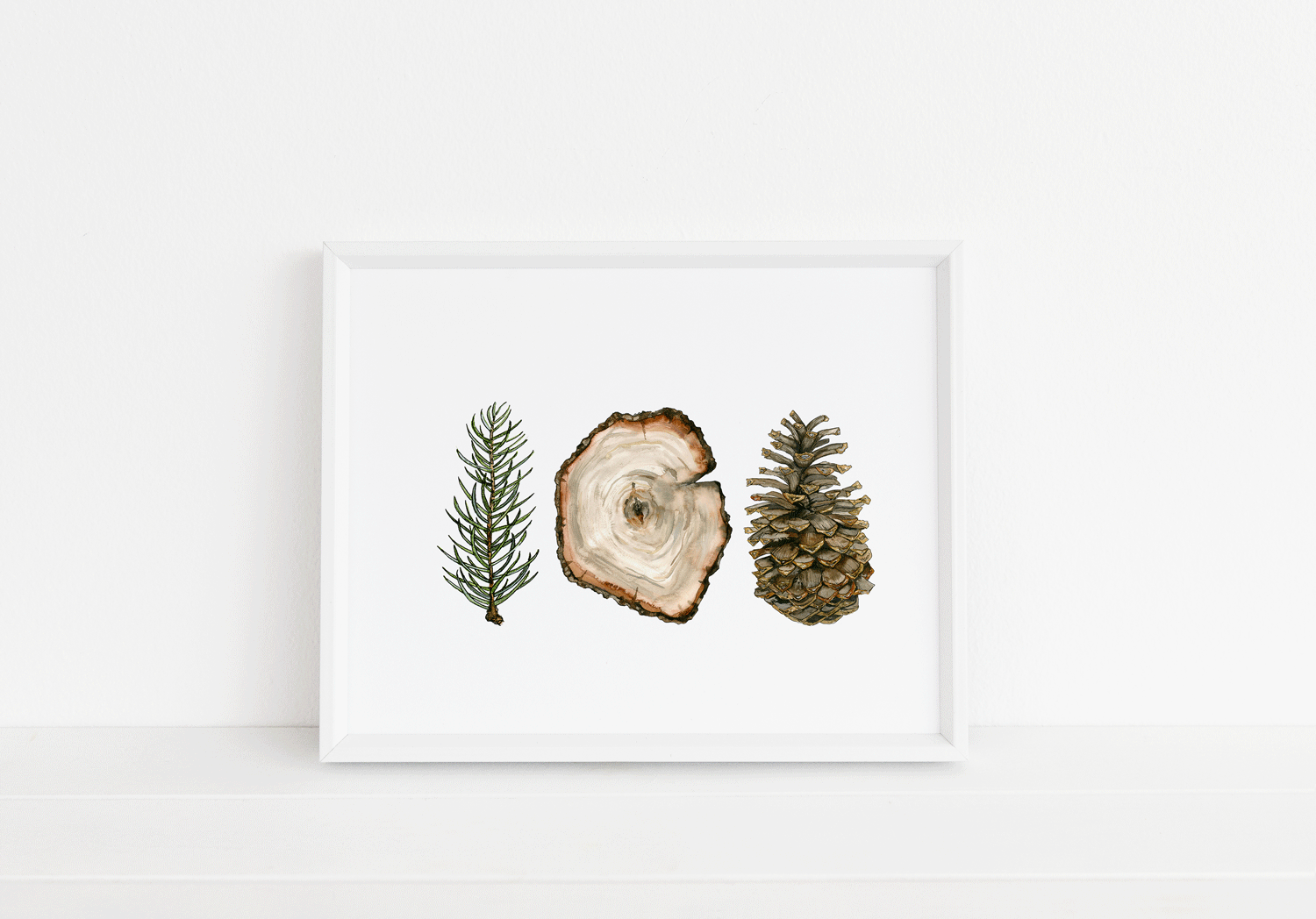 Pine-Series-Web.gif