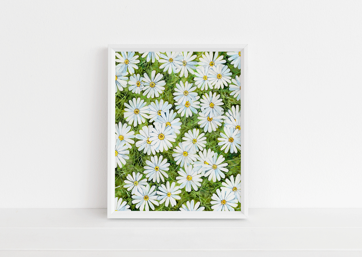 daisy-field-web.gif