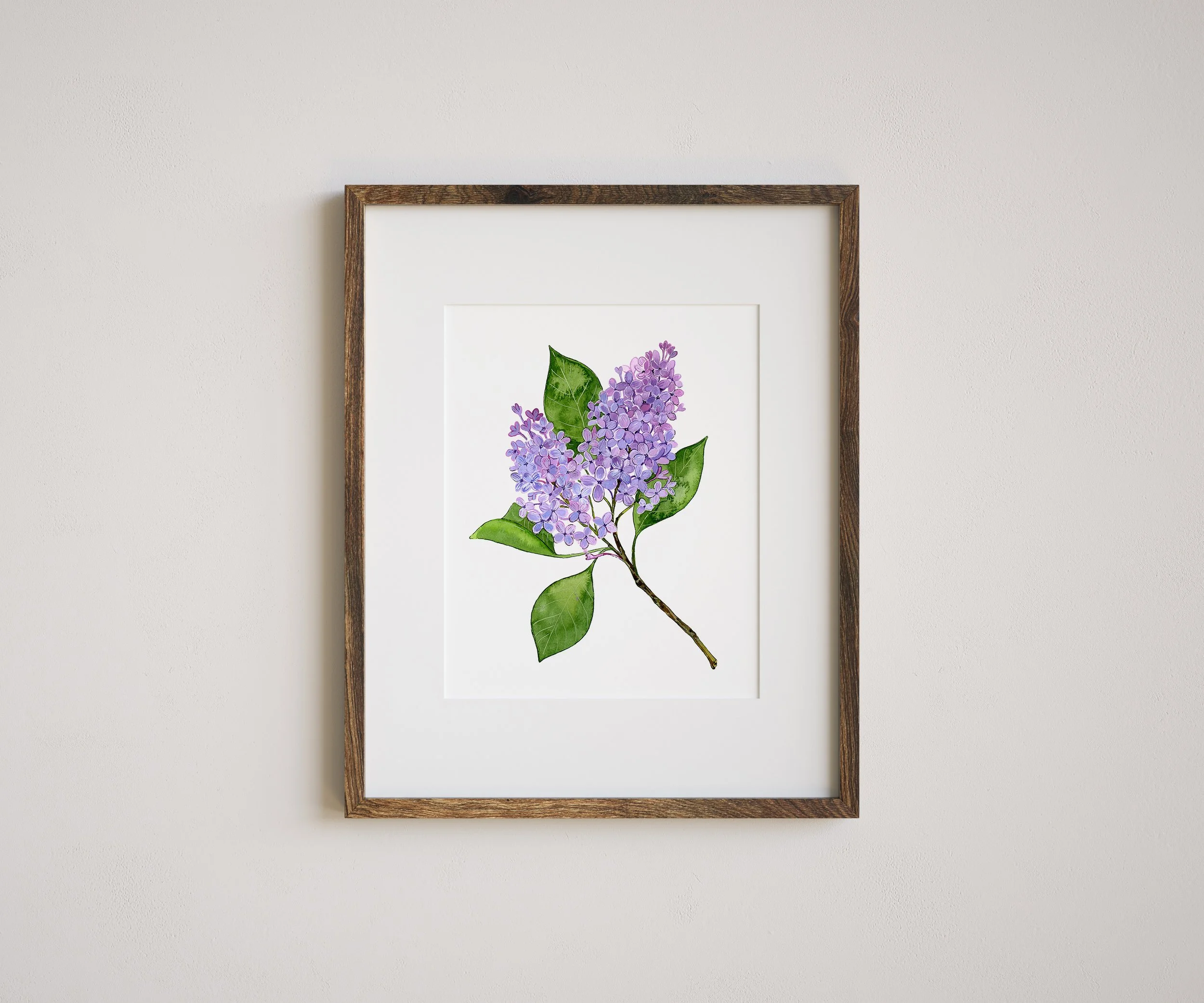 Lilac