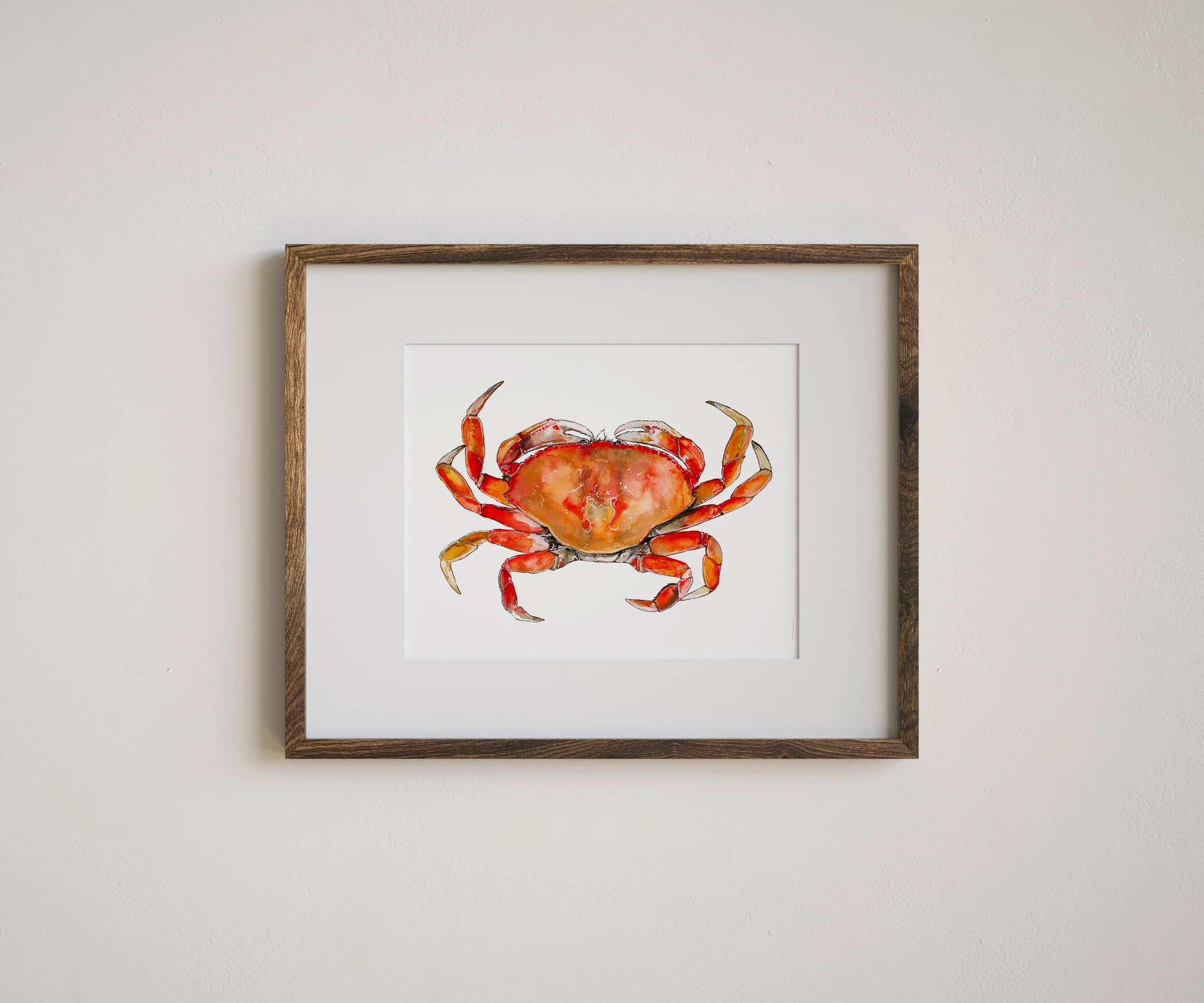 Dungeness Crab