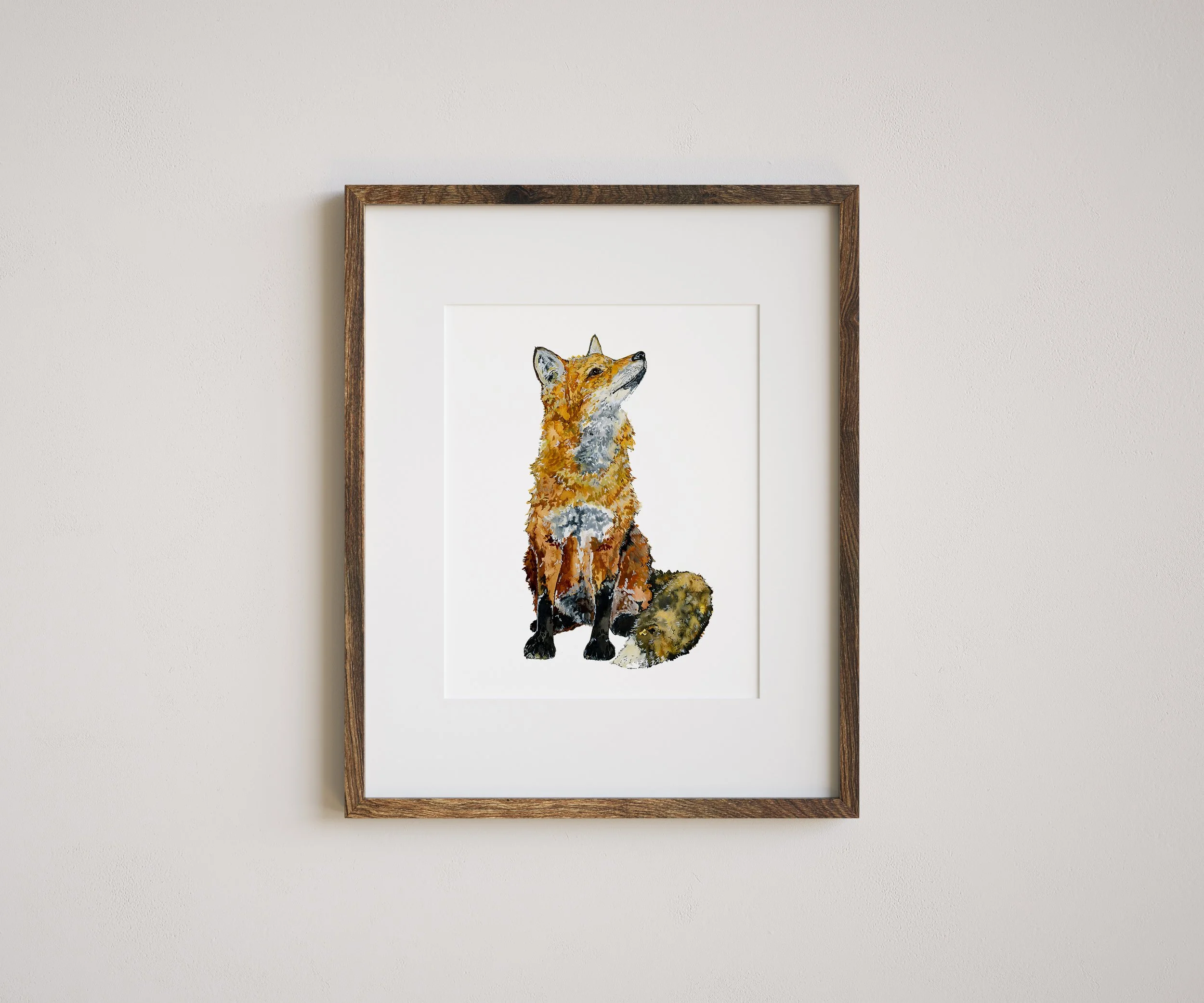 Curious Fox