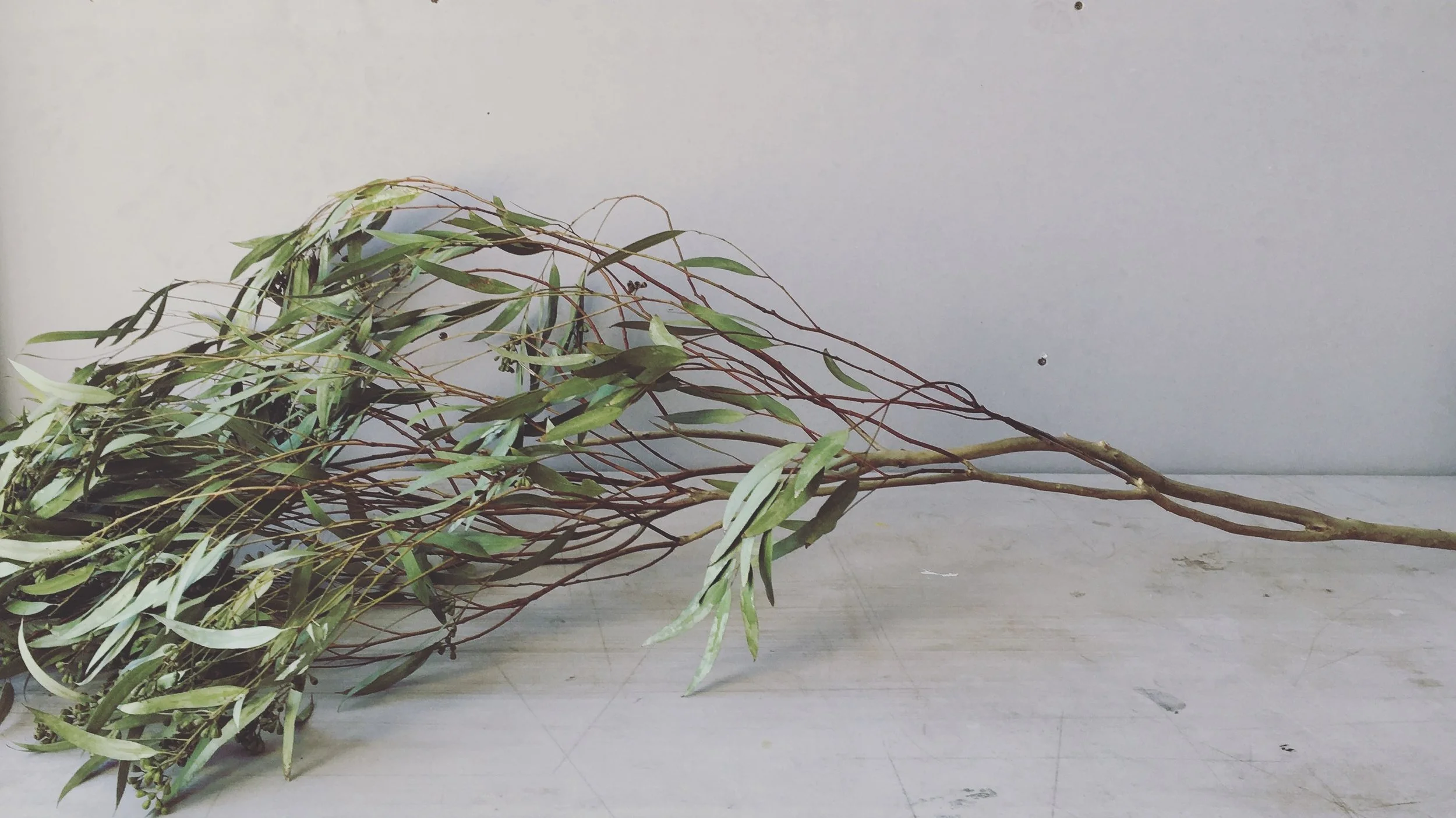 Searching For Dialogue