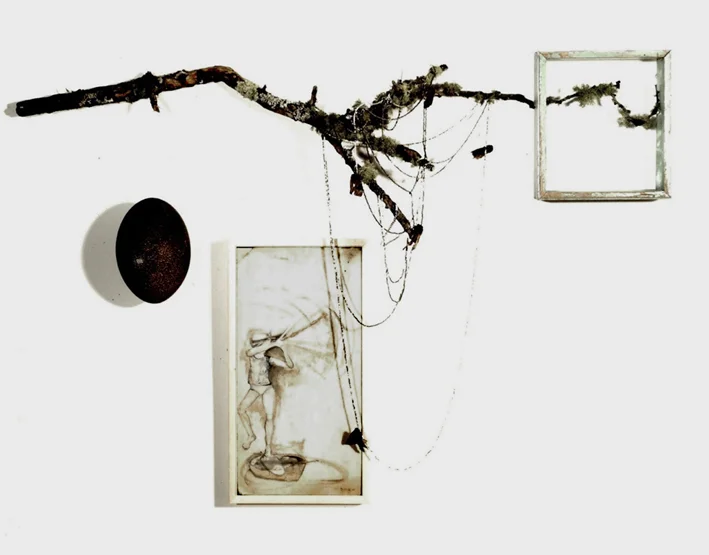 The Hidden Bones of an Ordinary Life