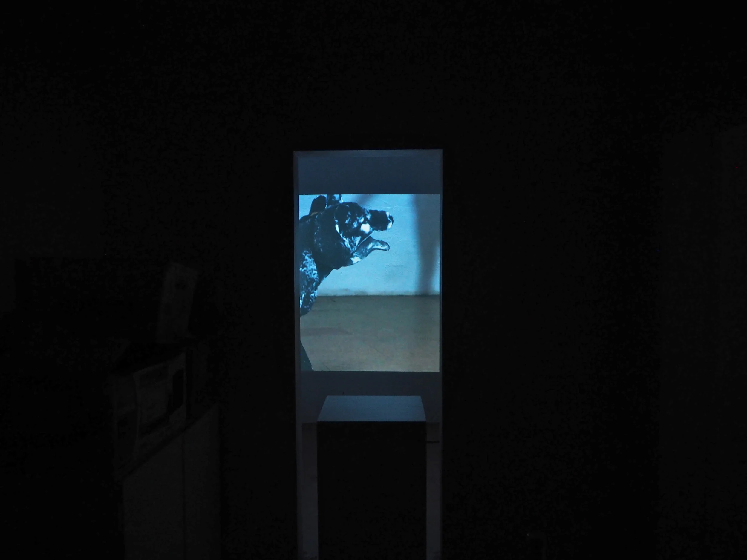  Joseph Burgess,  Locked in a Room with a Tasmanian Tiger , for  Mega Fauna Sightings in Alice Springs  exhibition, 2017. Photo: Zoya Godoroja-Prieckaerts 