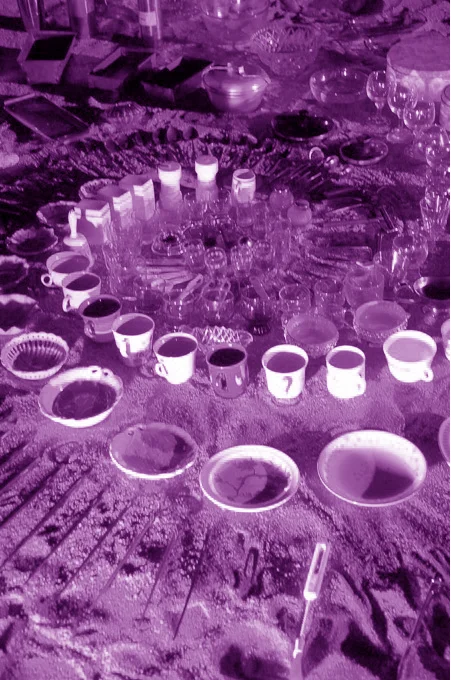 Franca Fractal Spirals promo 2018.jpg