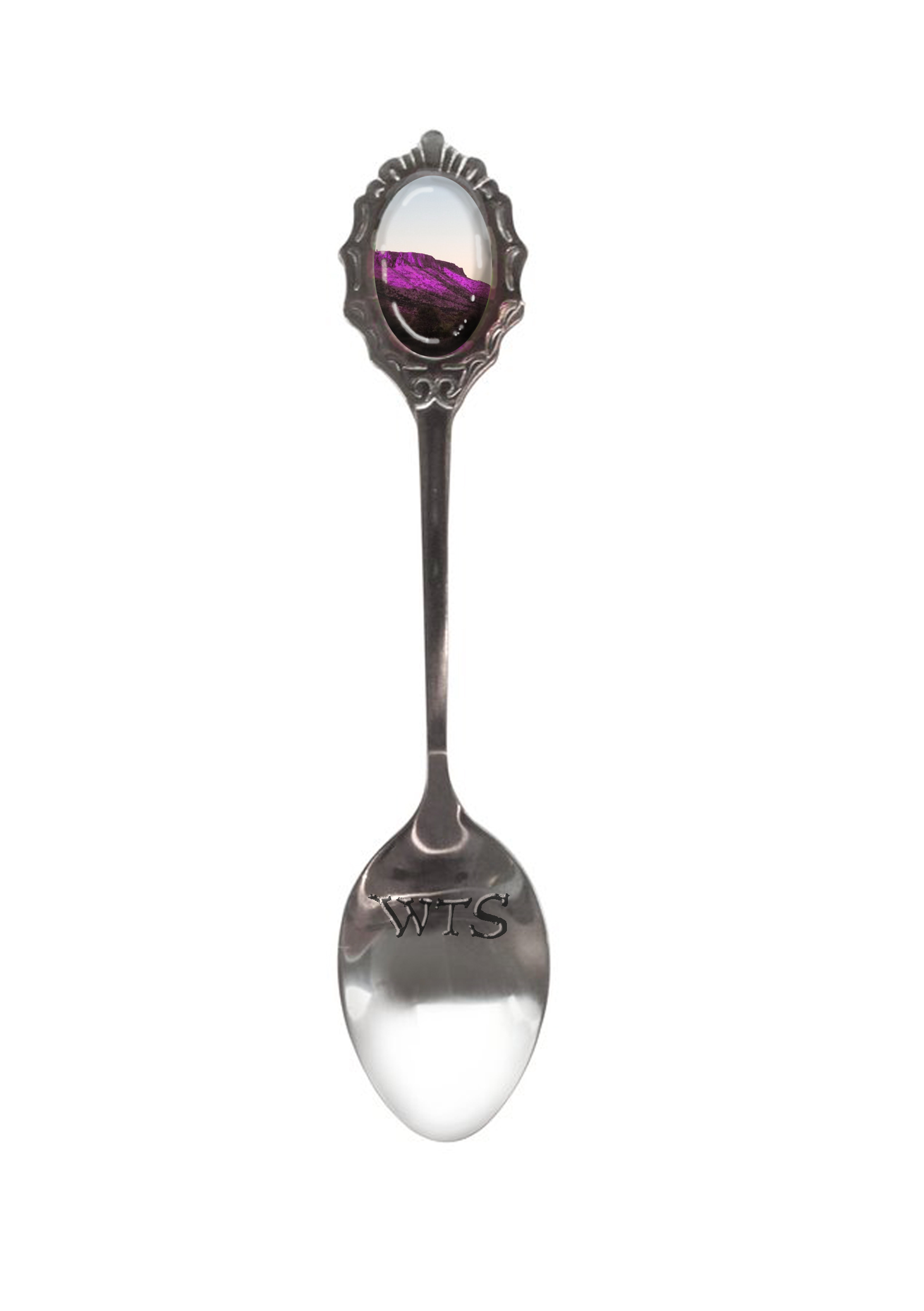 The Silver Spoon purple and white.jpg