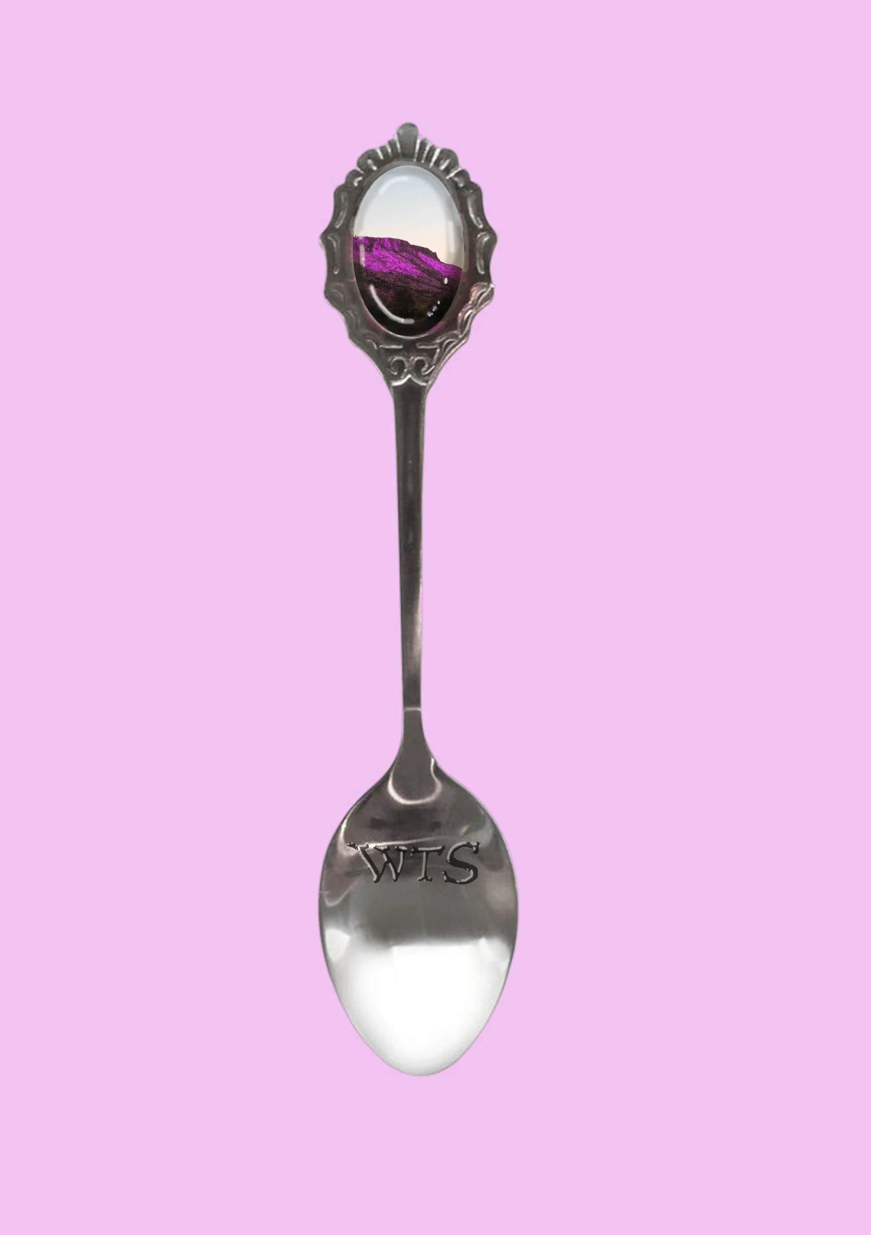 The Silver Spoon