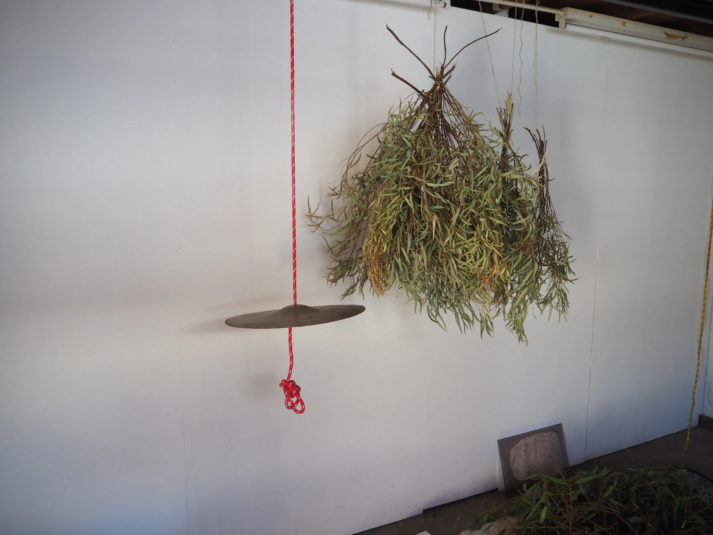 Artist Studios_website_Lisa Stewart & Rachel Feery 2017.jpg