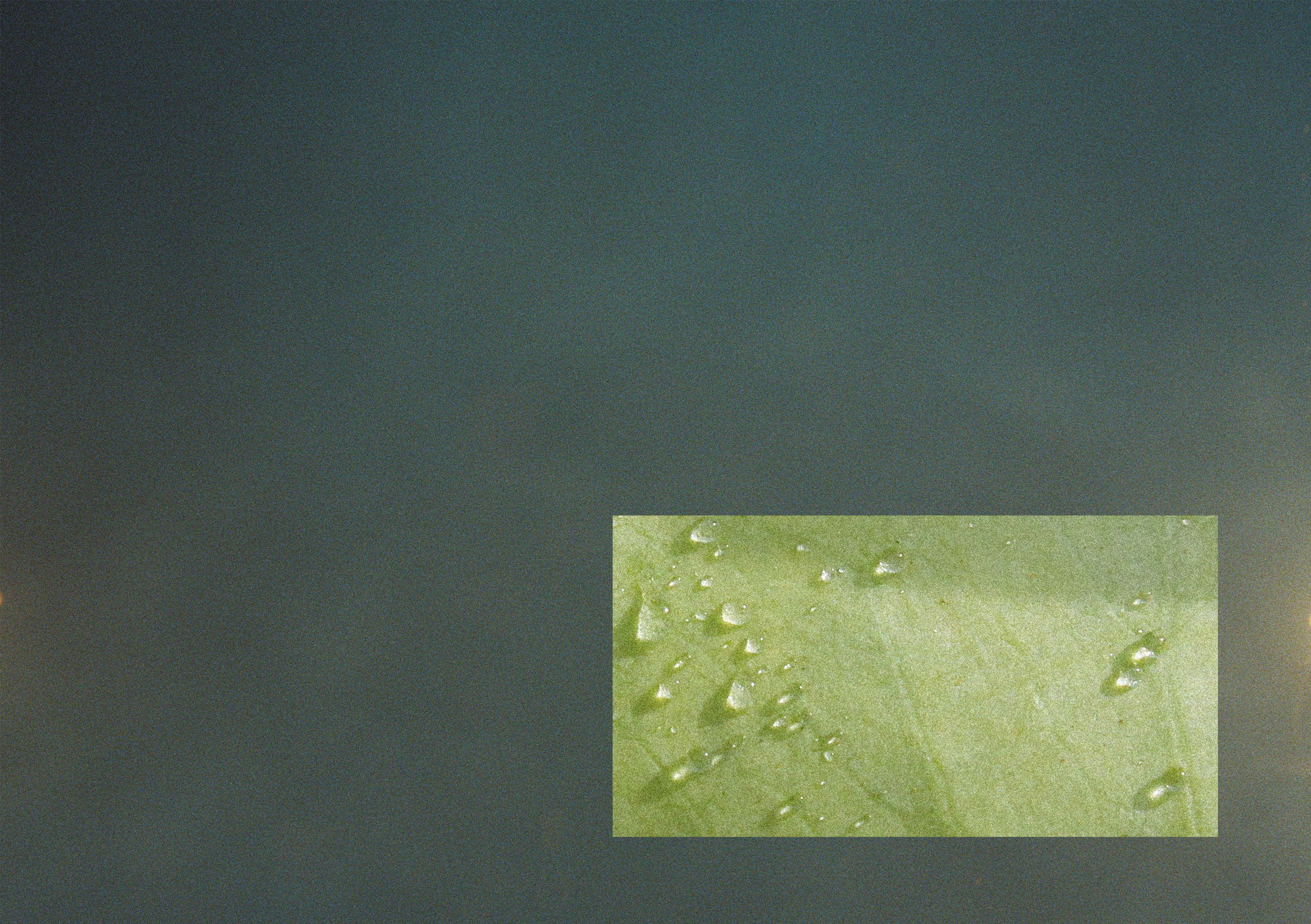 Light Stand for Nothing