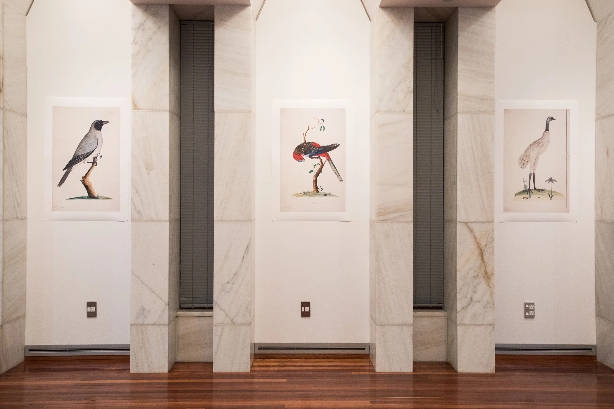 20190410_NL_PE_TPFG_Bird_Fancy_opening_004.jpg