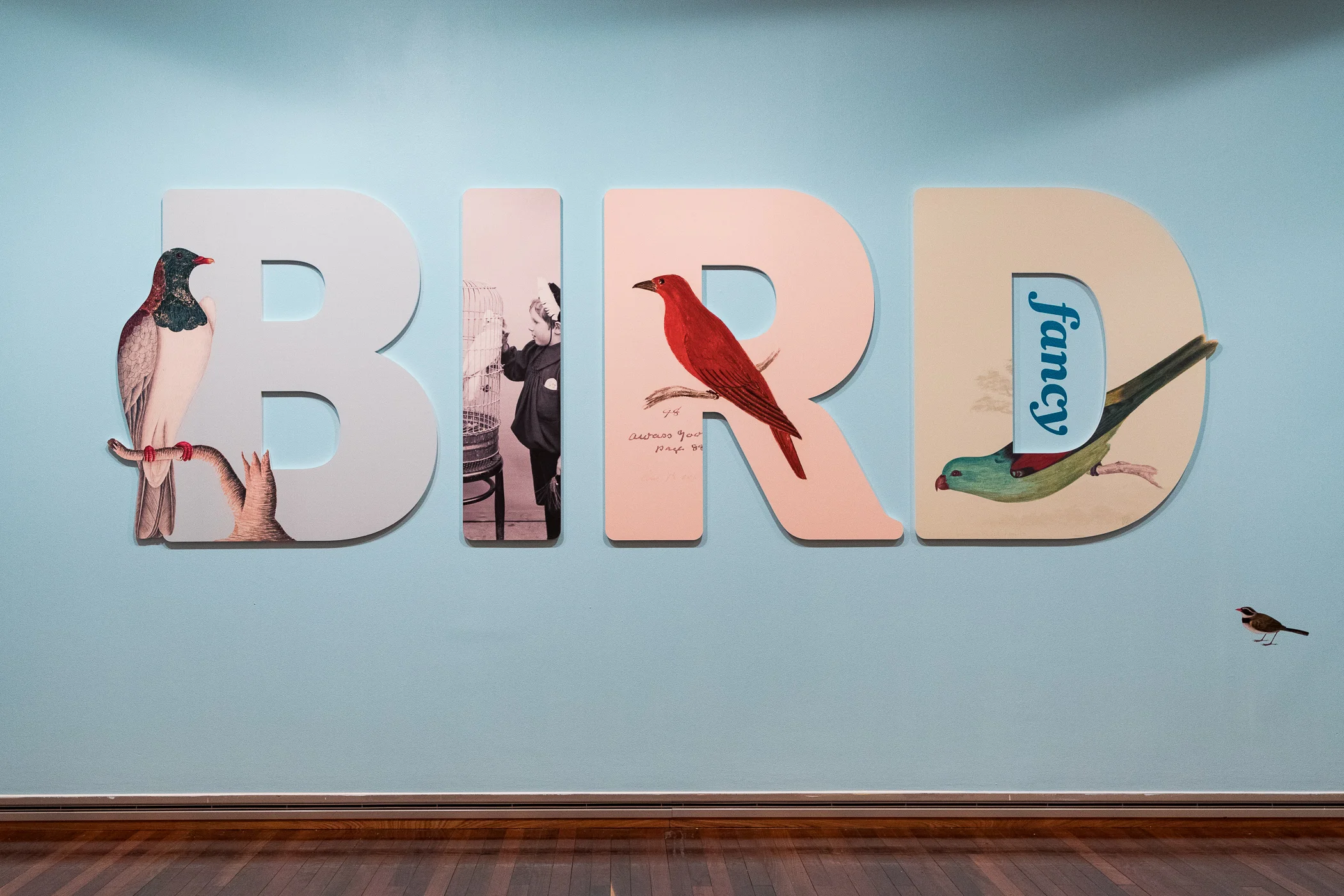 20190410_NL_PE_TPFG_Bird_Fancy_opening_005.jpg