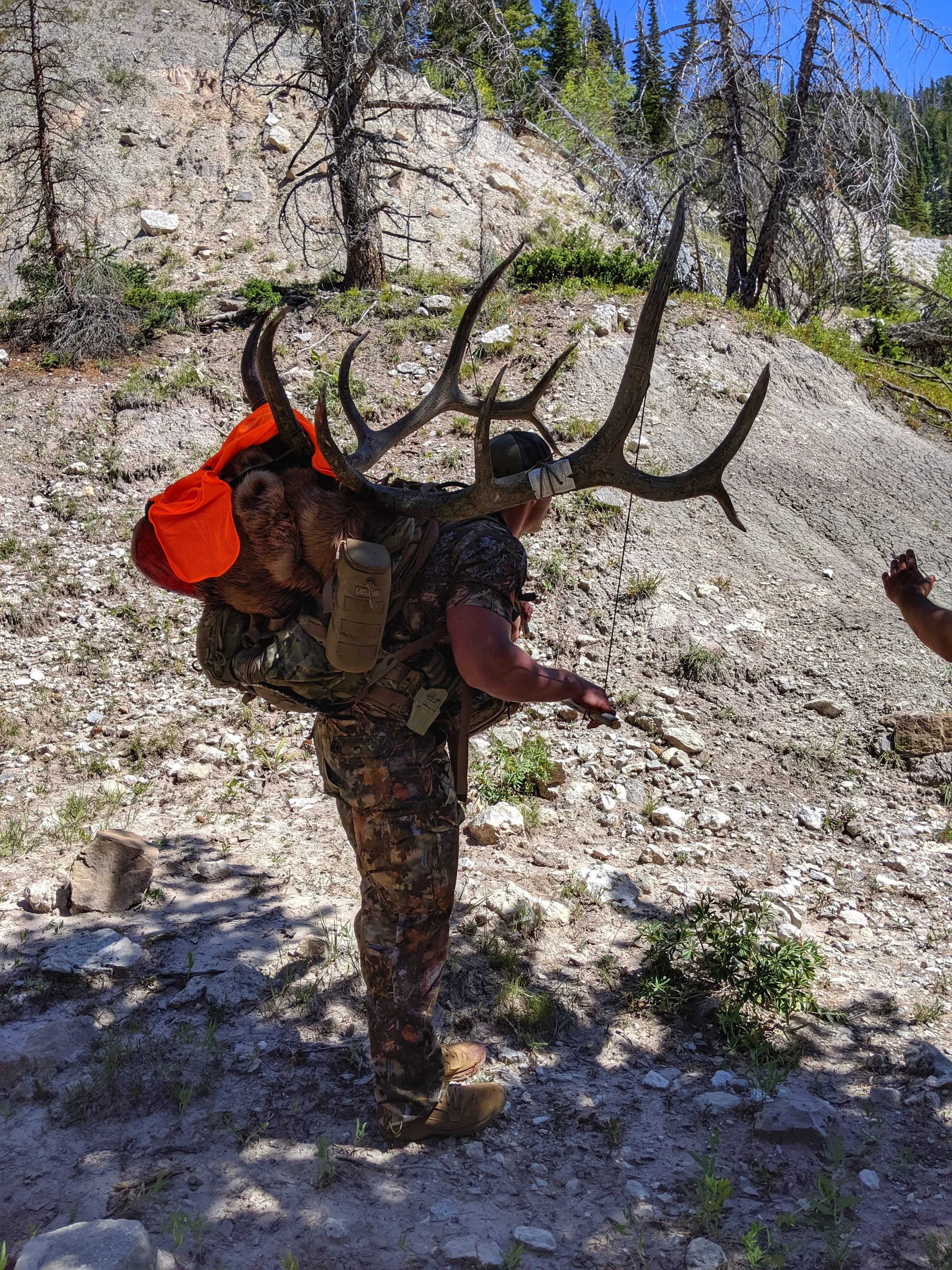 Utah LE Elk Hunt, Manti Central Mountains Unit, 2019, Expo Tag