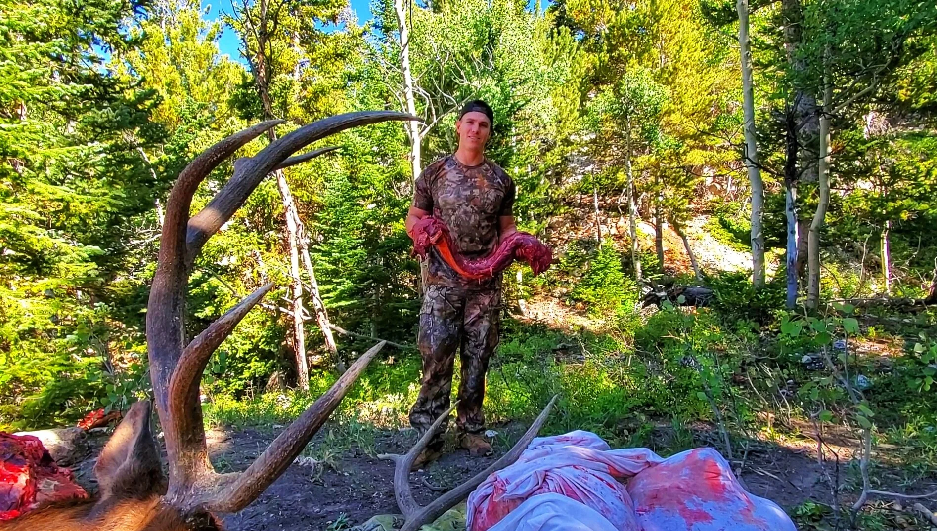 Utah LE Elk Hunt, Manti Central Mountains Unit, 2019. Packout