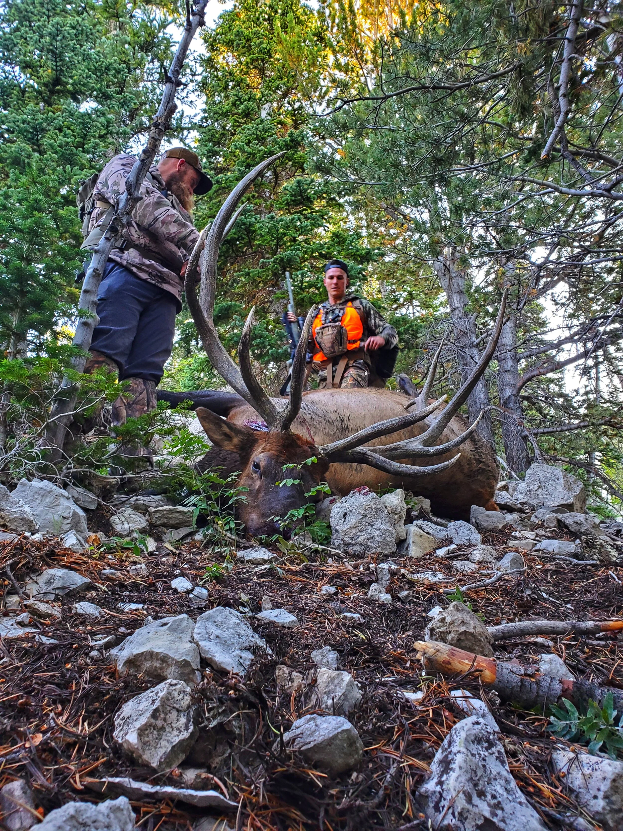 UT LE Manti Central Mountains Elk Hunt 2019 is Live on YouTube! 