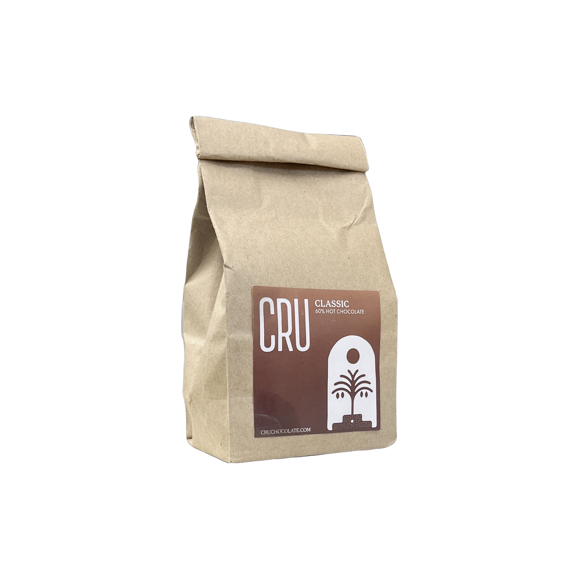 classic bag transPNG.PNG