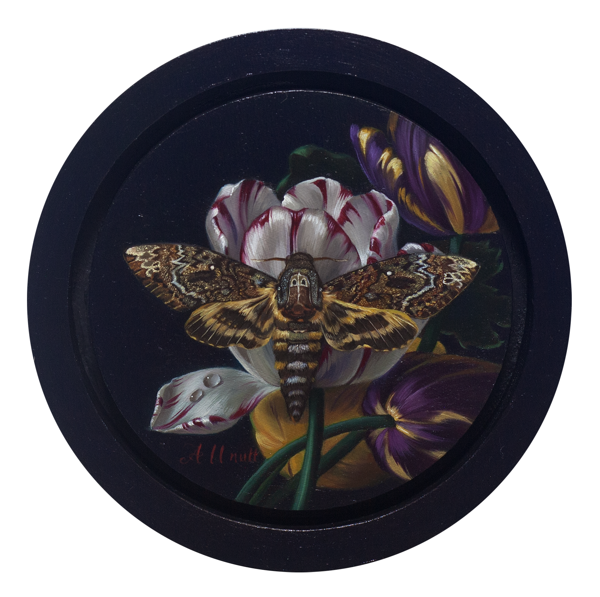 IMG_6847 transparent.png