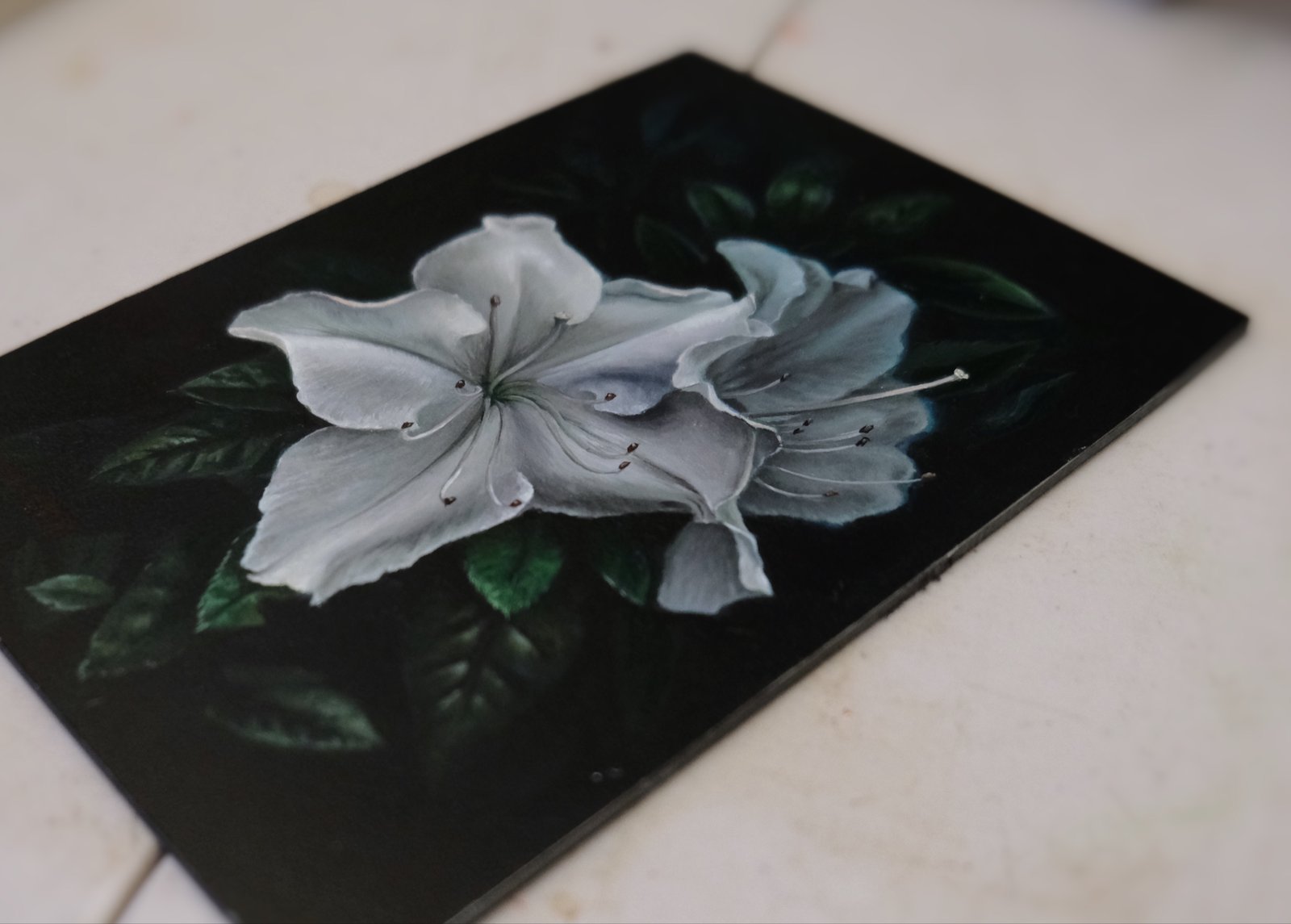 white-lillies-study.jpg