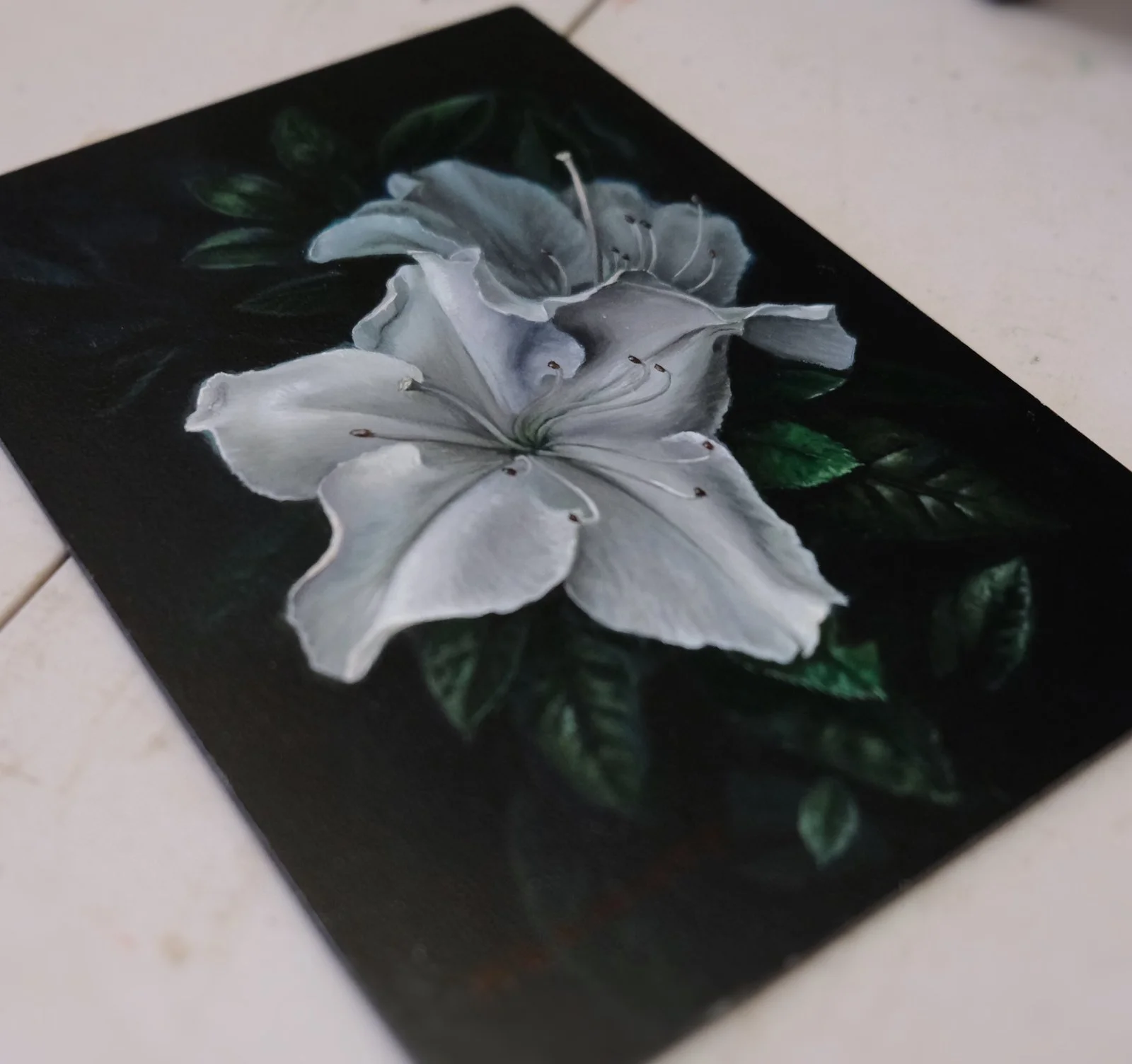 white-lillies-study.jpg