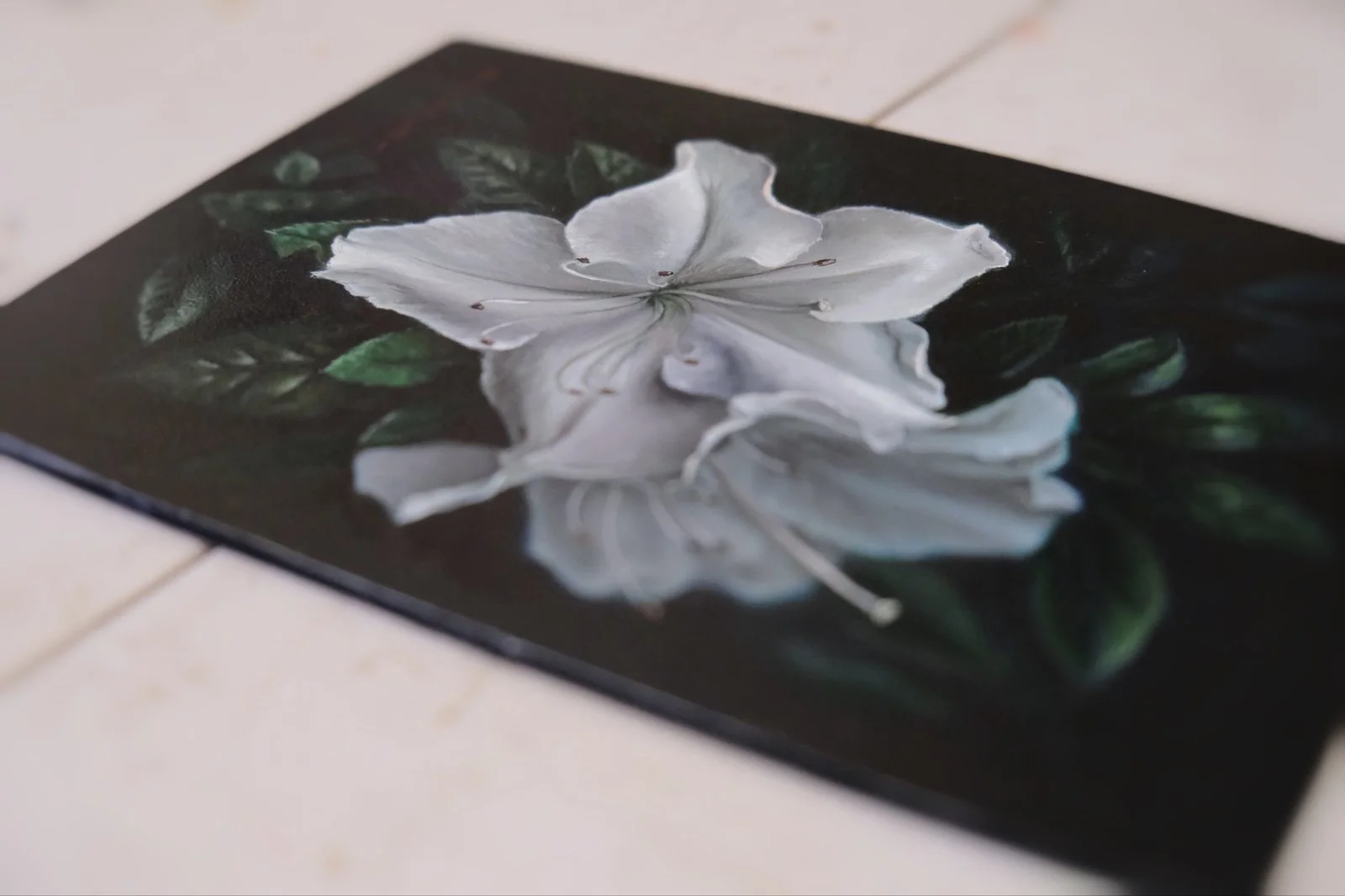 white-lillies-study.jpg