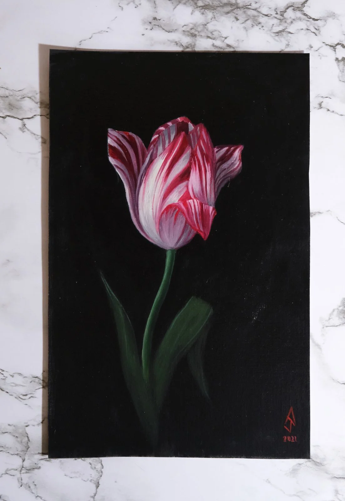 original-semper-augustus-tulip-study.jpg