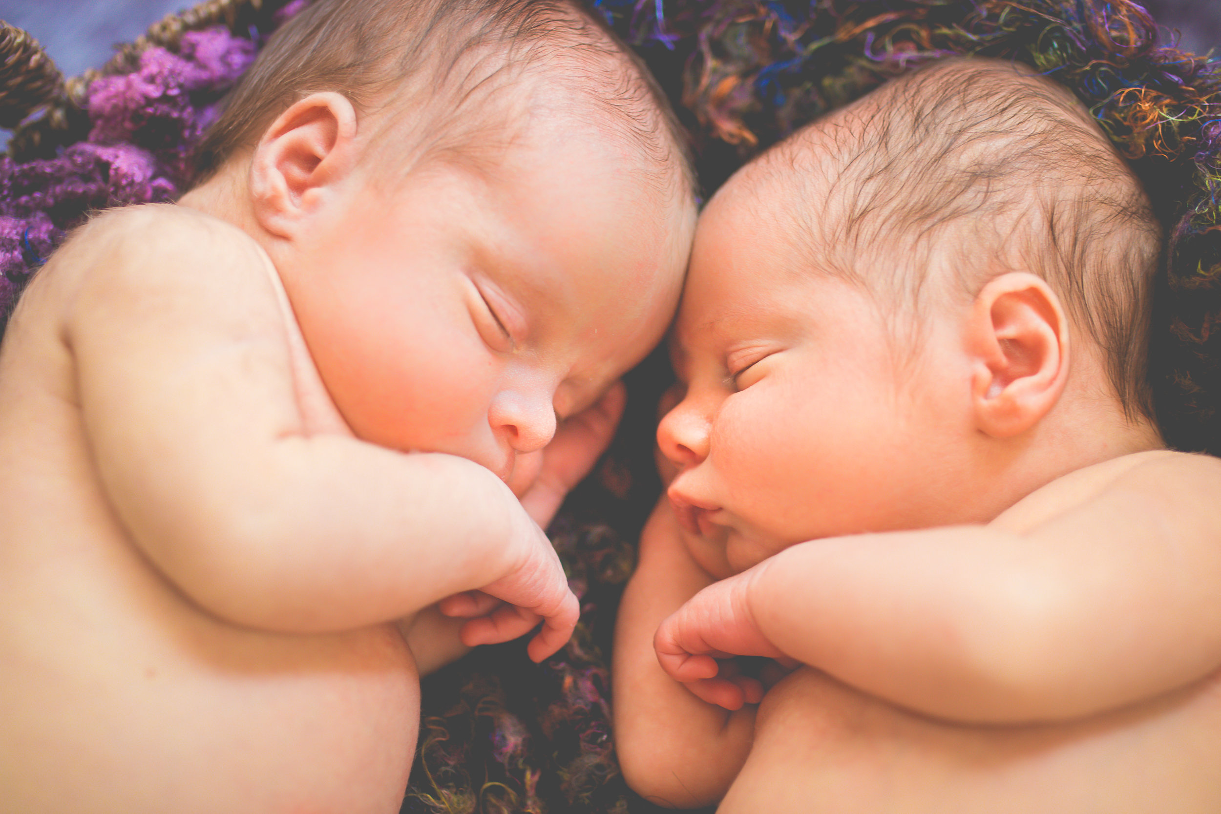 Twins.Purple.Basket.CU-8072.jpg