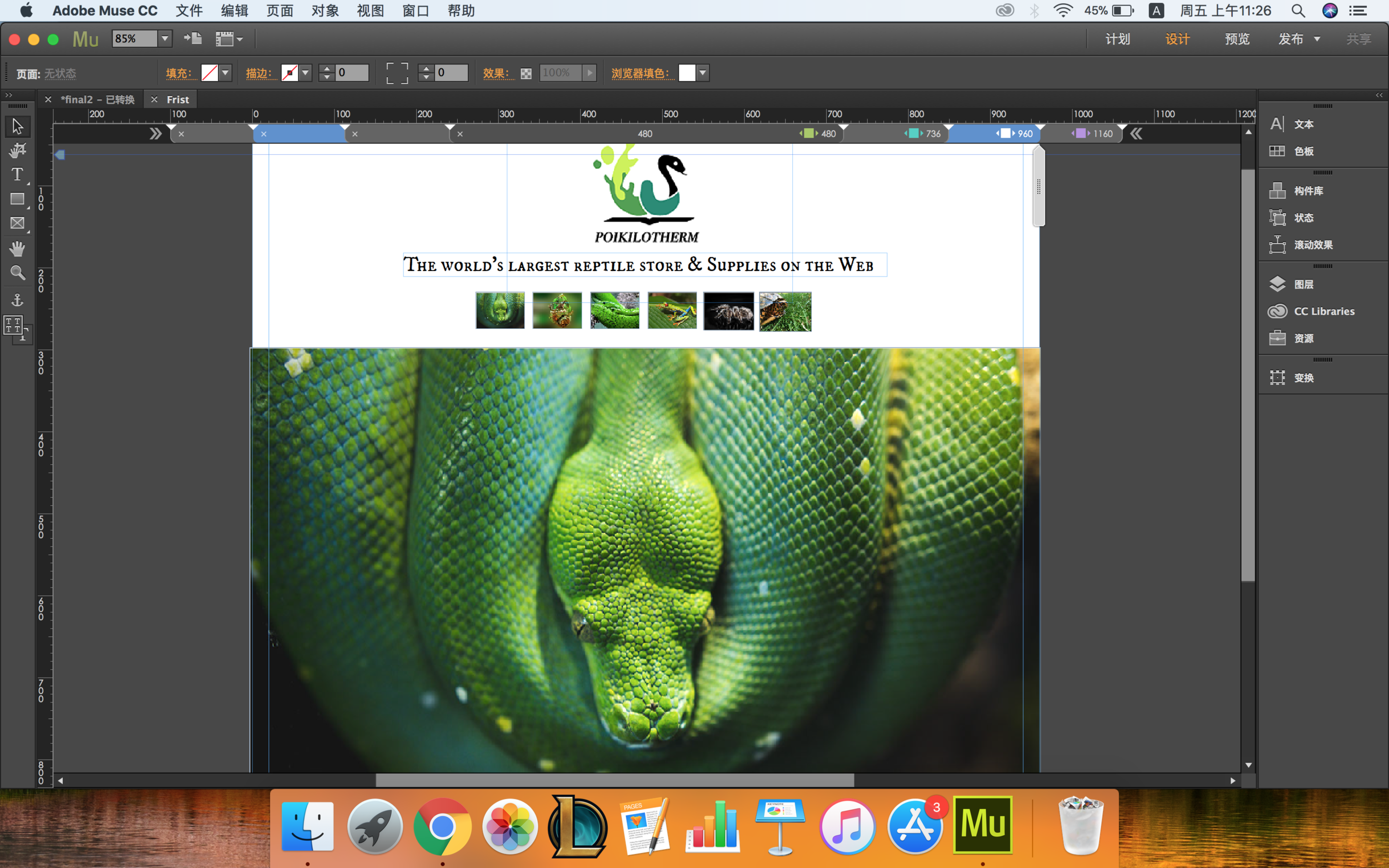 Web Design.png