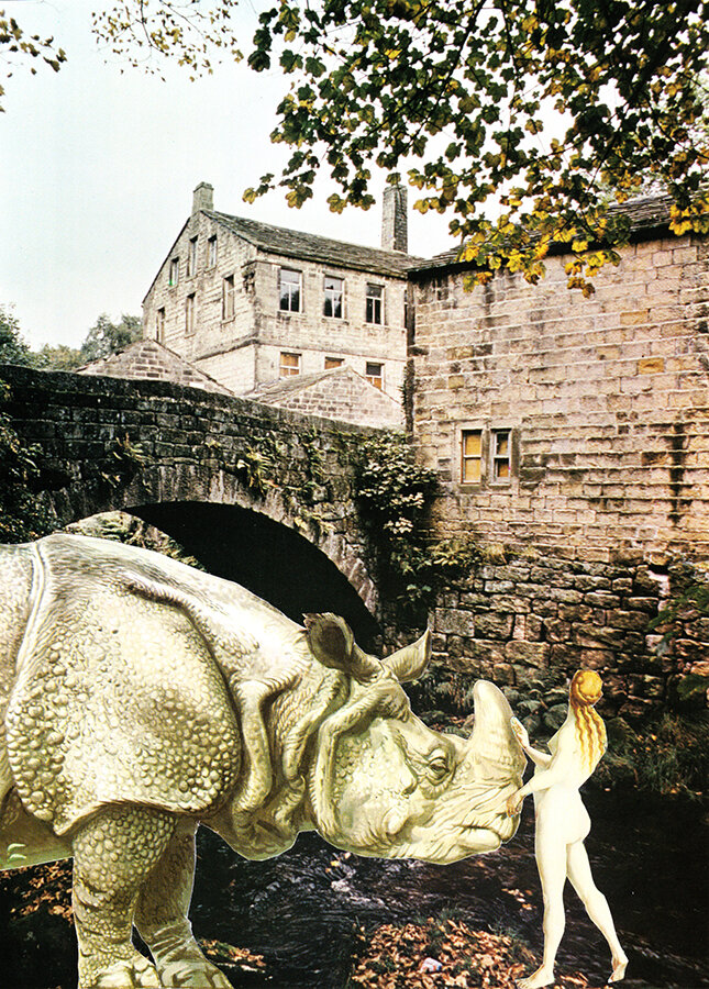 Rhinoceros and Nude , 2016. Photo collage, 21 x 14 cm.