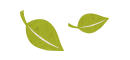 leaves.png