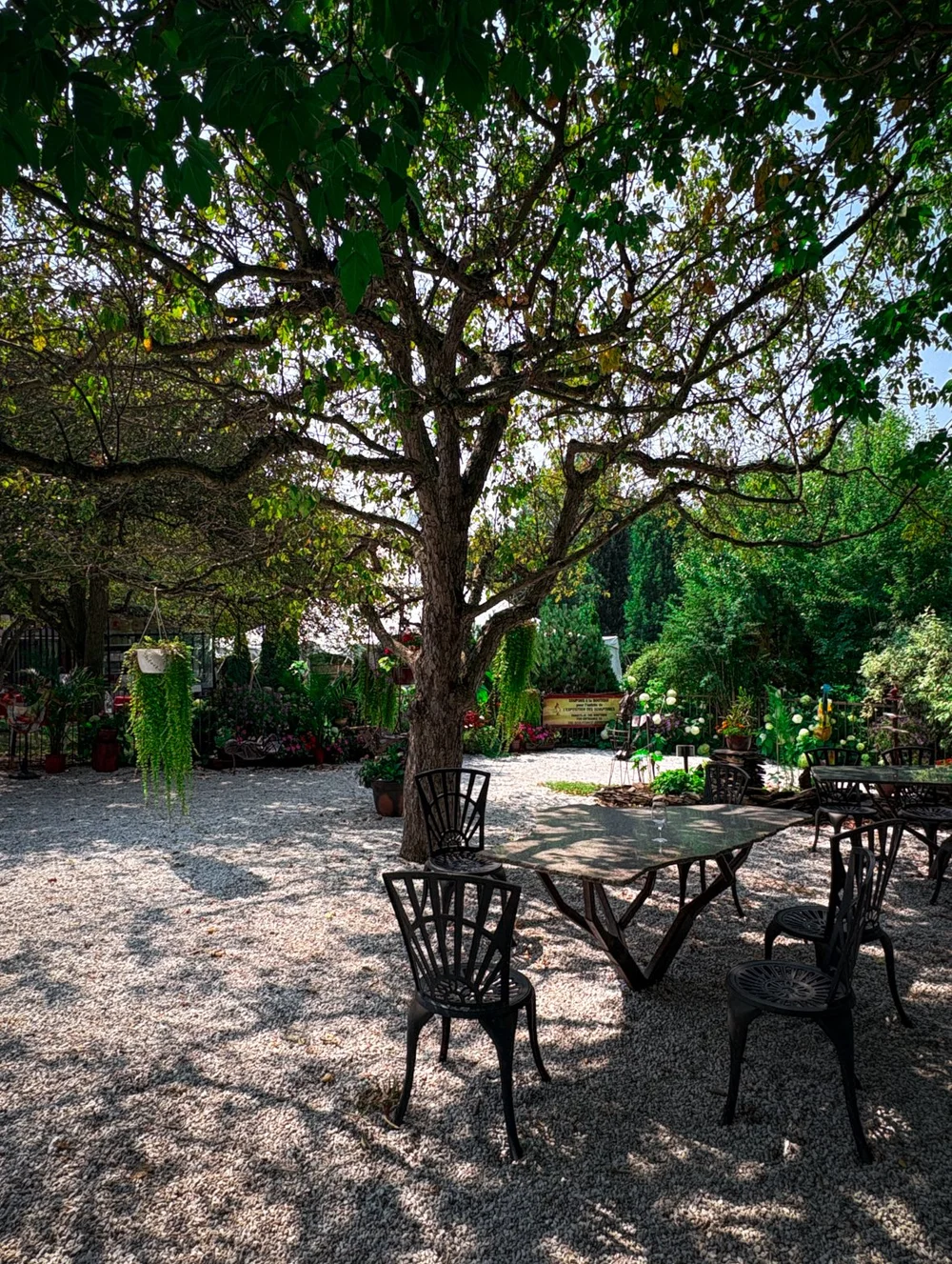 domaine côtes d'ardoise patio