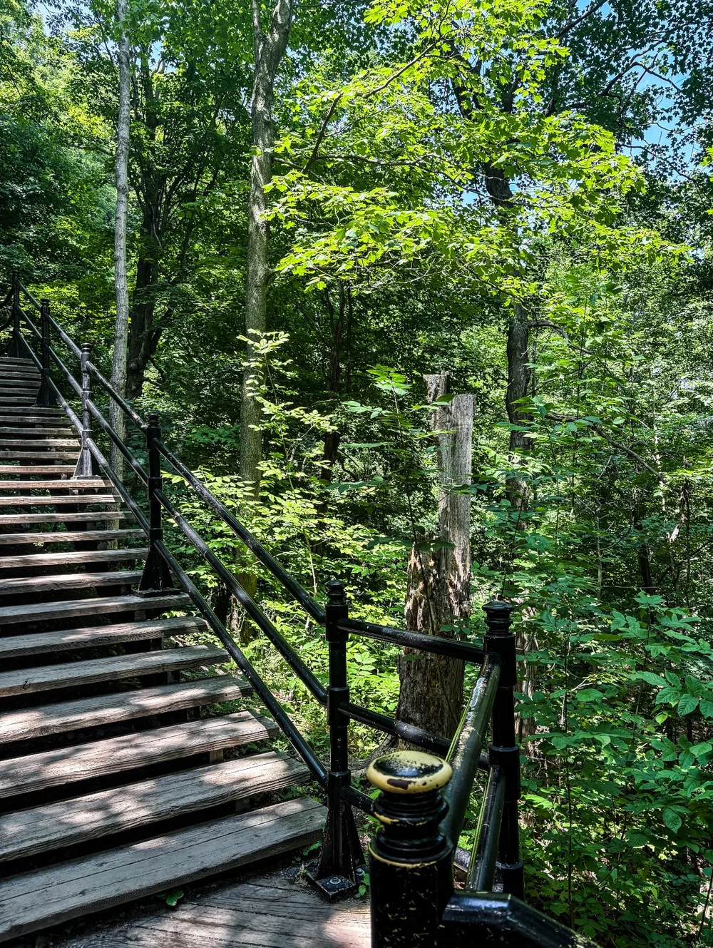 grand staircase of mount royal