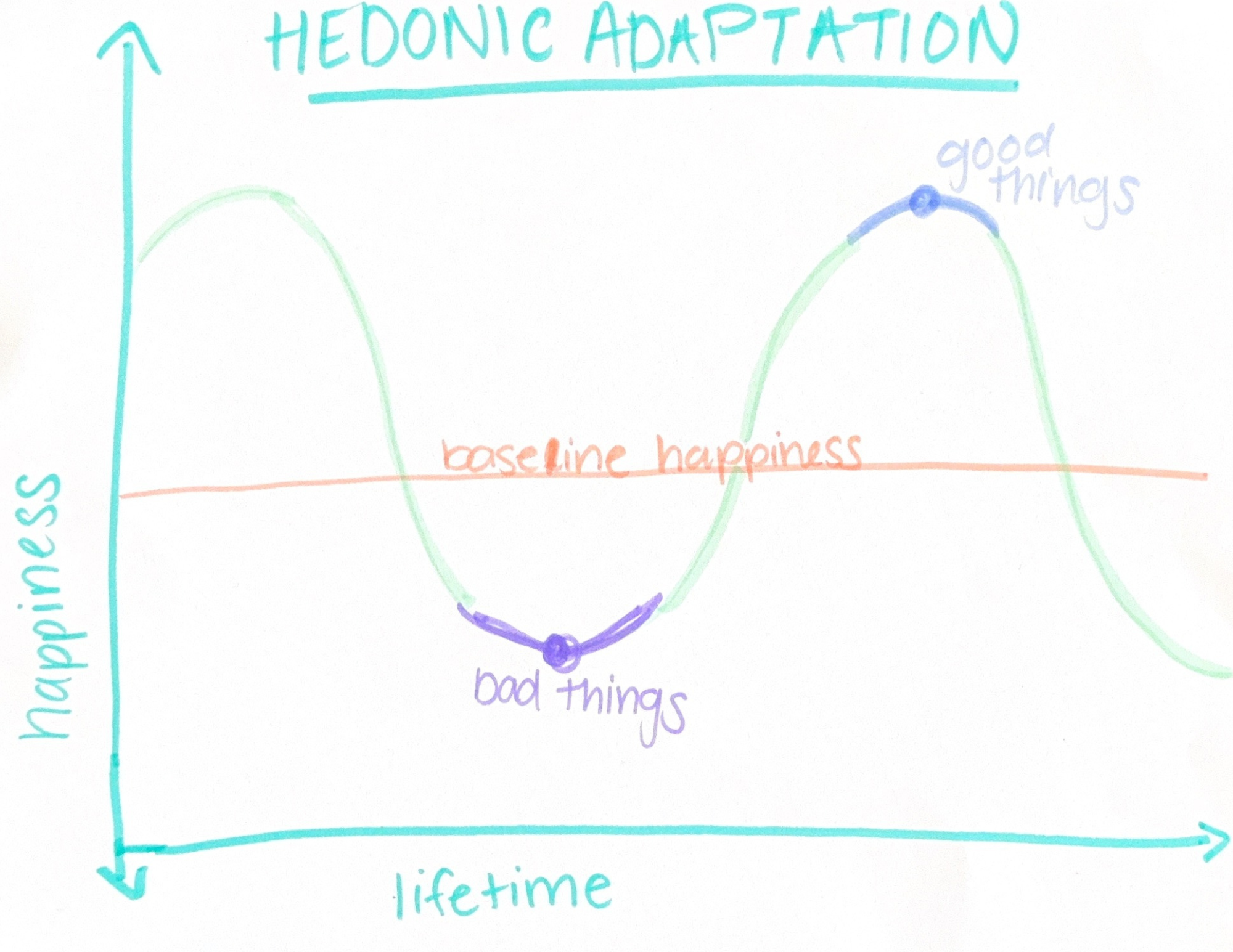 hedonic adaptation graph explaining that overtime our happiness baseline resets when we experience good or bad things