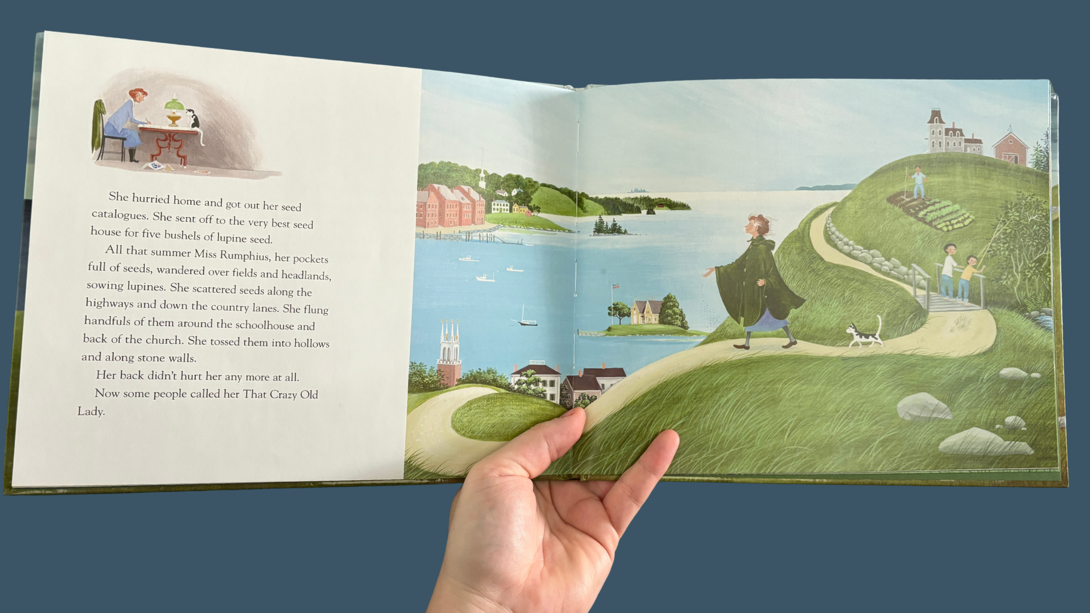 Miss Rumphius children's book open to the seed scattering page. Illustrations of Miss Rumphius walking coastal Maine headlands with pockets full of lupine seeds and her tuxedo cat, with the text "her back didn't hurt her any more at all,"