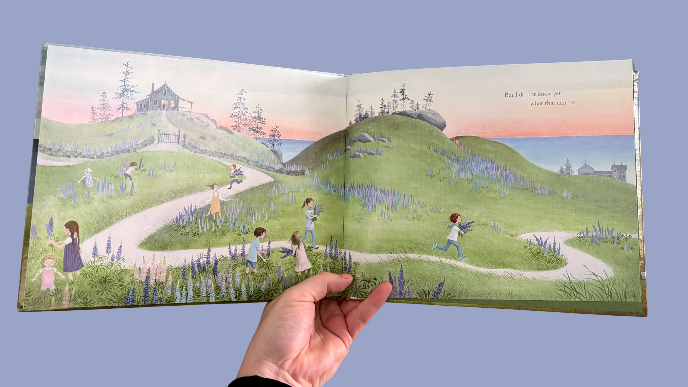 Miss Rumphius children's book open to the final lupine fields illustration — children running through purple and pink lupines along a coastal Maine hillside with the words "but I do not know yet what that can be," held against a soft blue background