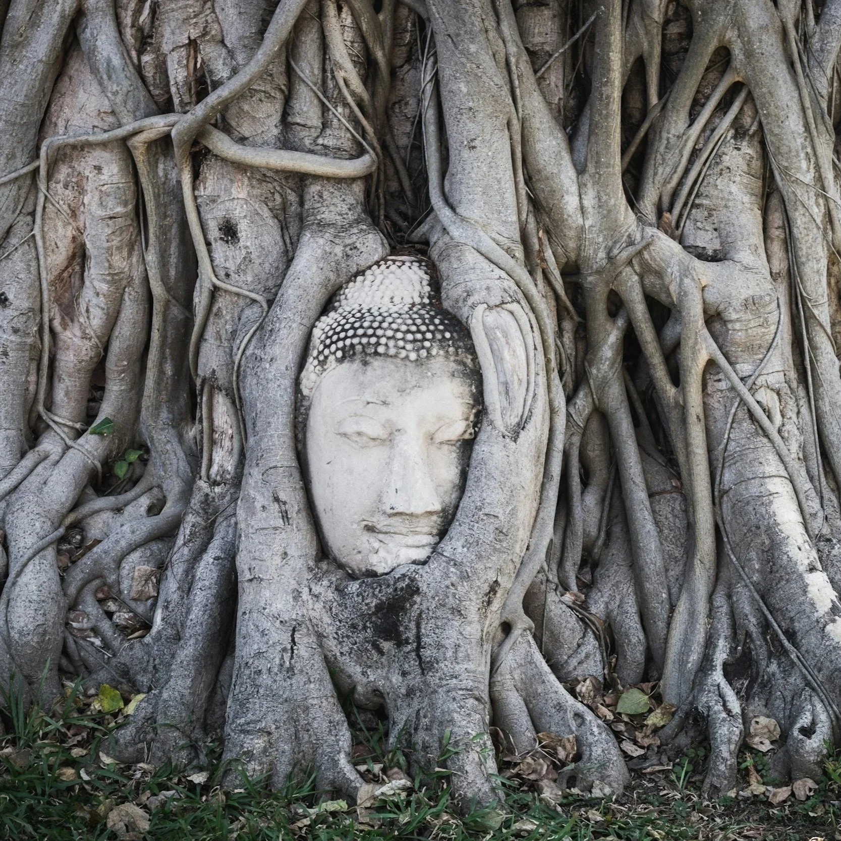 unsplash-image-mIxBPeAcY4E.jpg