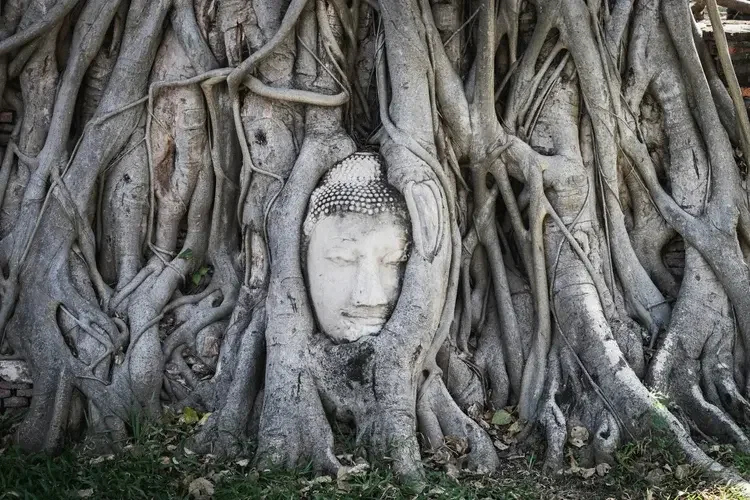 Ayutthaya-thailand-Wat Mahathat-web.webp