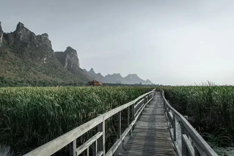 Khao-Sam-Roi-Yot-boardwalk.web.webp