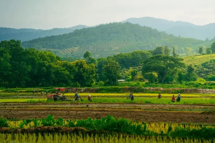 Chiang-rai-tour-route.webp